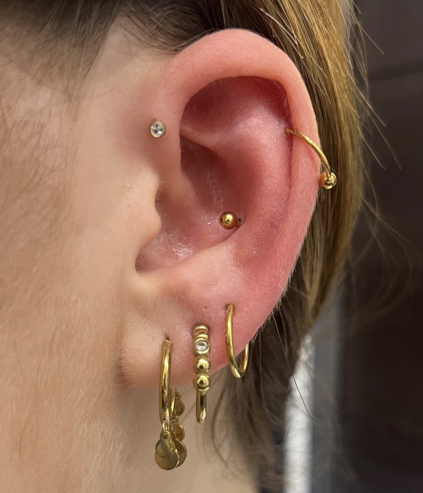 Conch 6.png