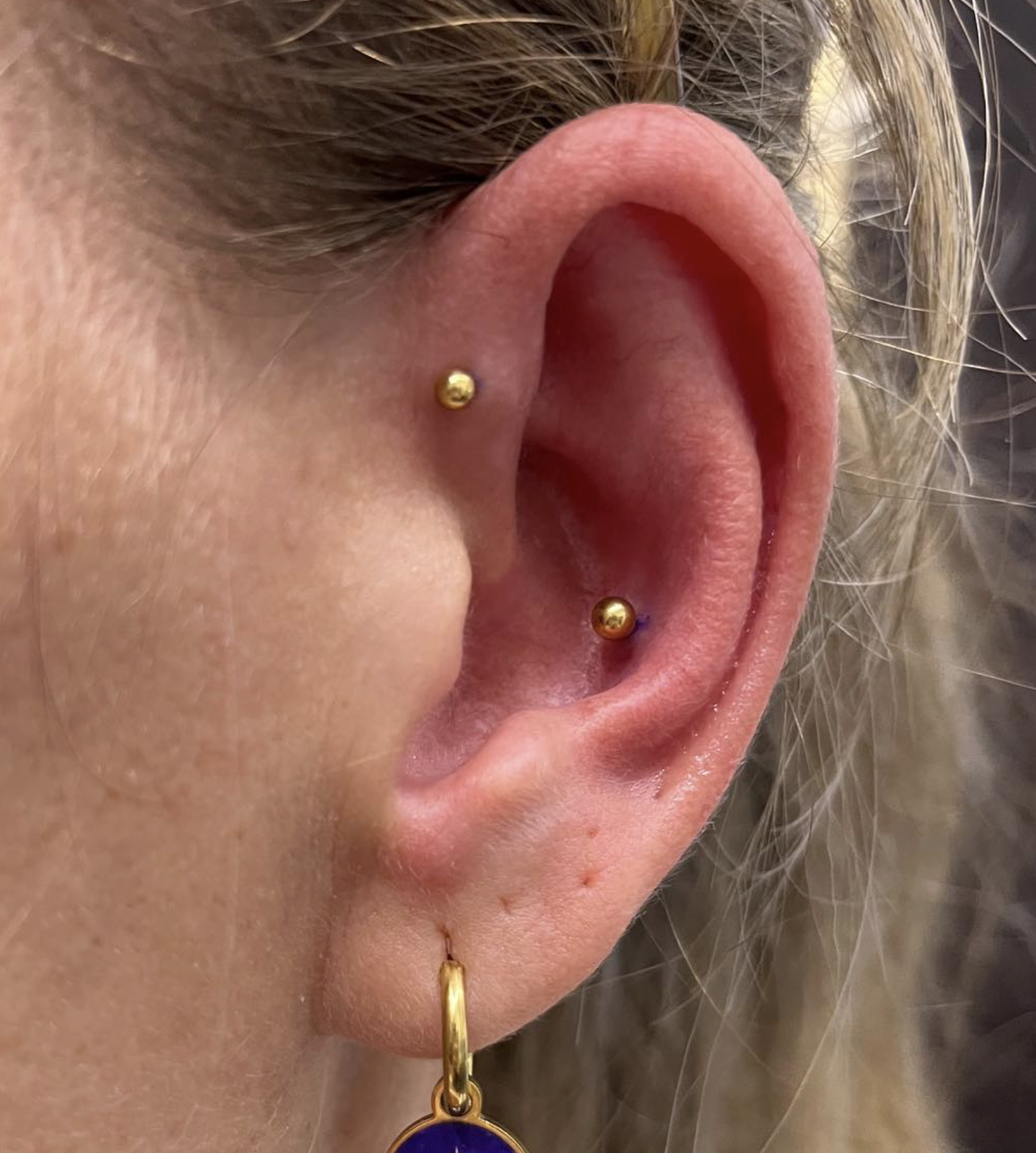 Conch 18.png