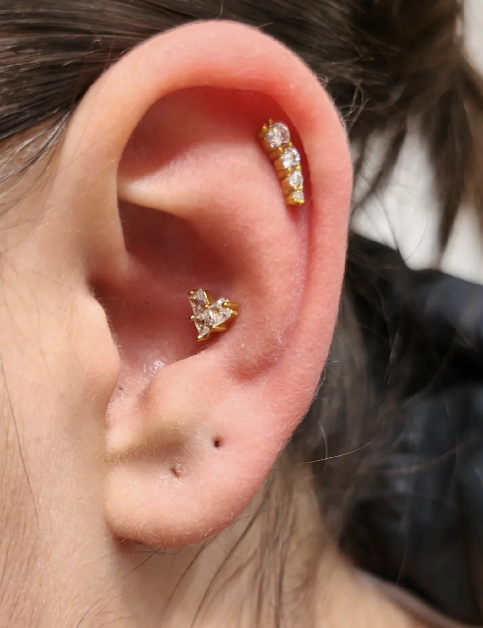 Conch 13.png