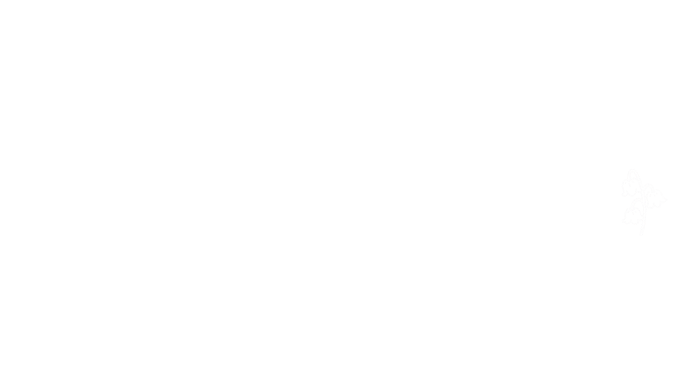 Molly McDonald