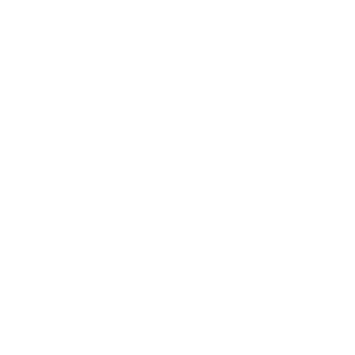 Bridgestone-Gold-Logo-White.png