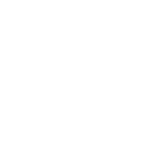 Avis-Logo-White.png