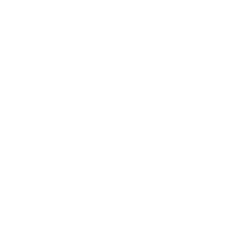 Pandora-Logo-White.png
