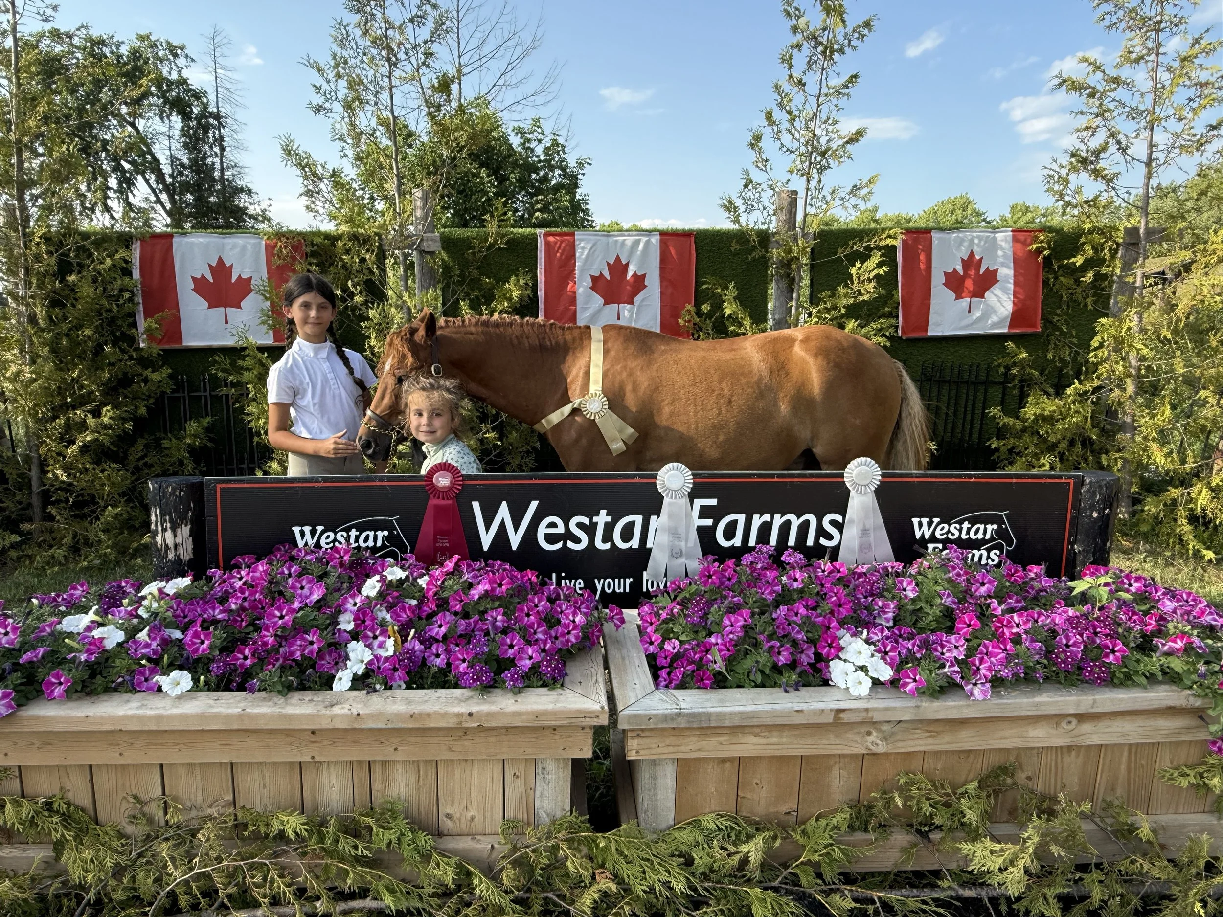 Westar Farms I