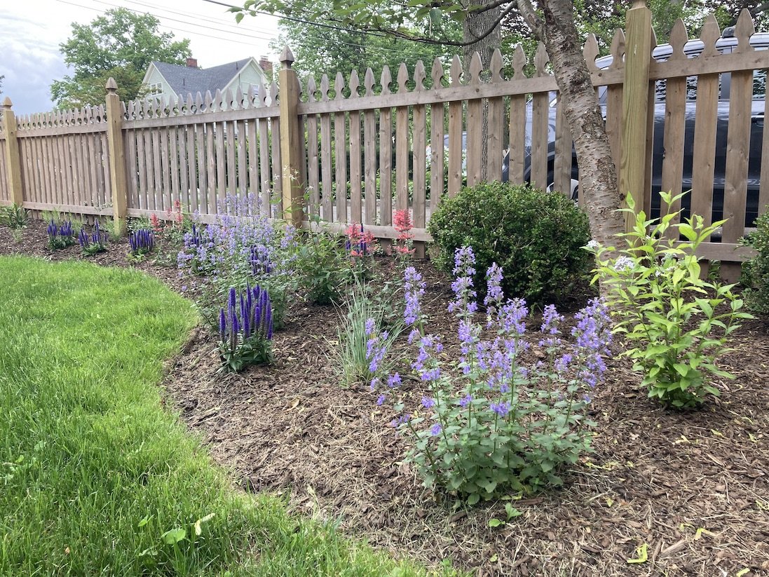 Landscaping with native plants for all weather NJ.jpg