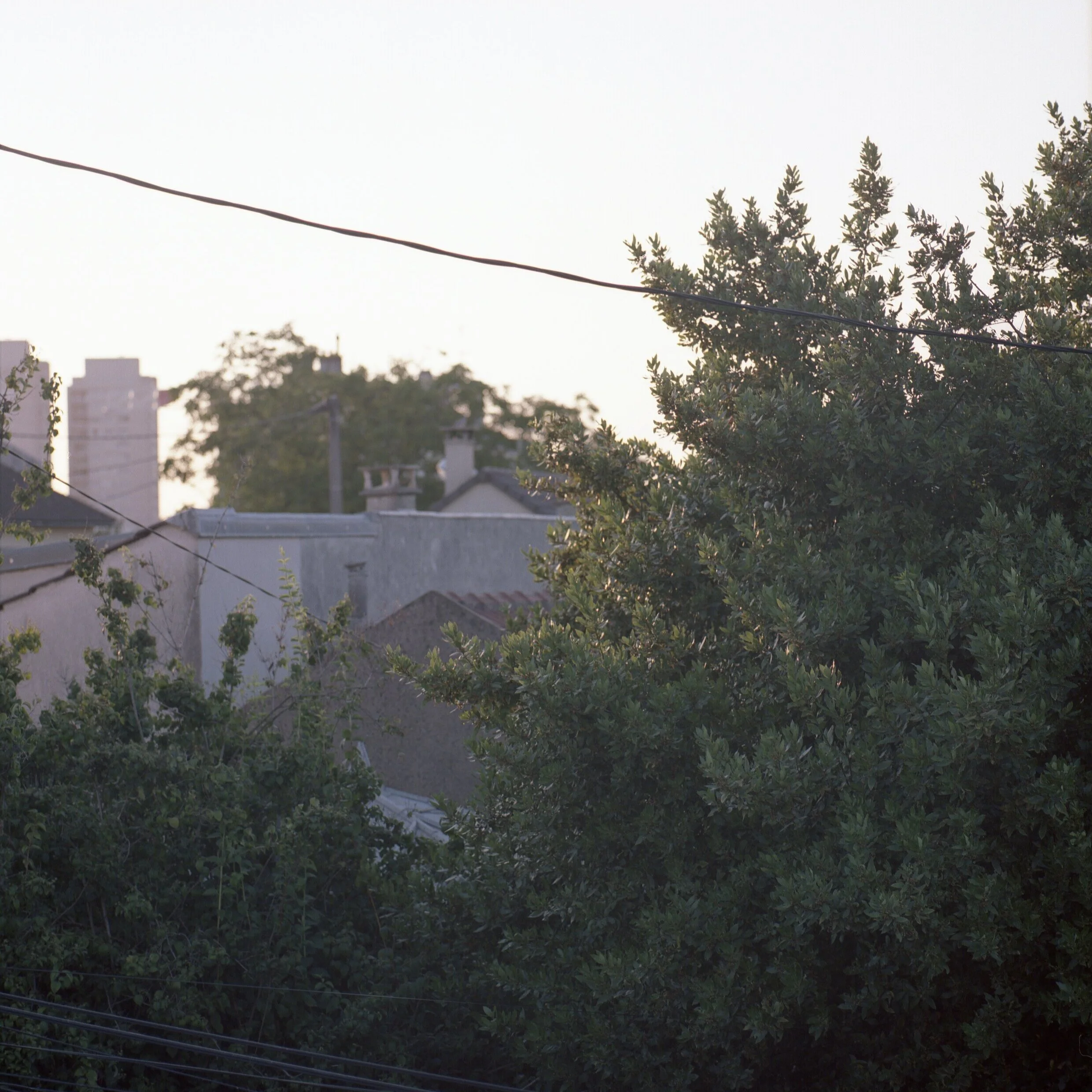 500C_0031.jpg