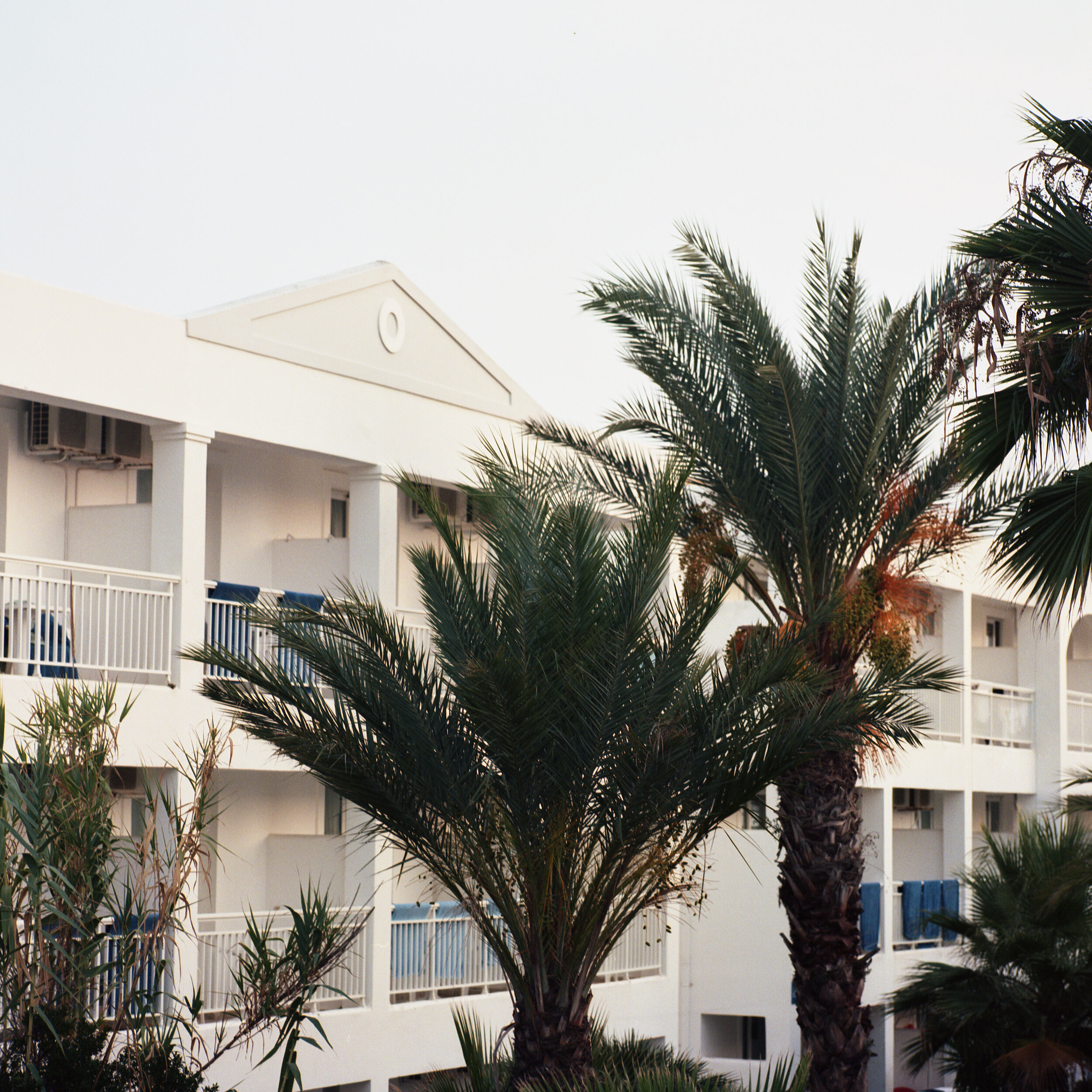 500C_0063.jpg