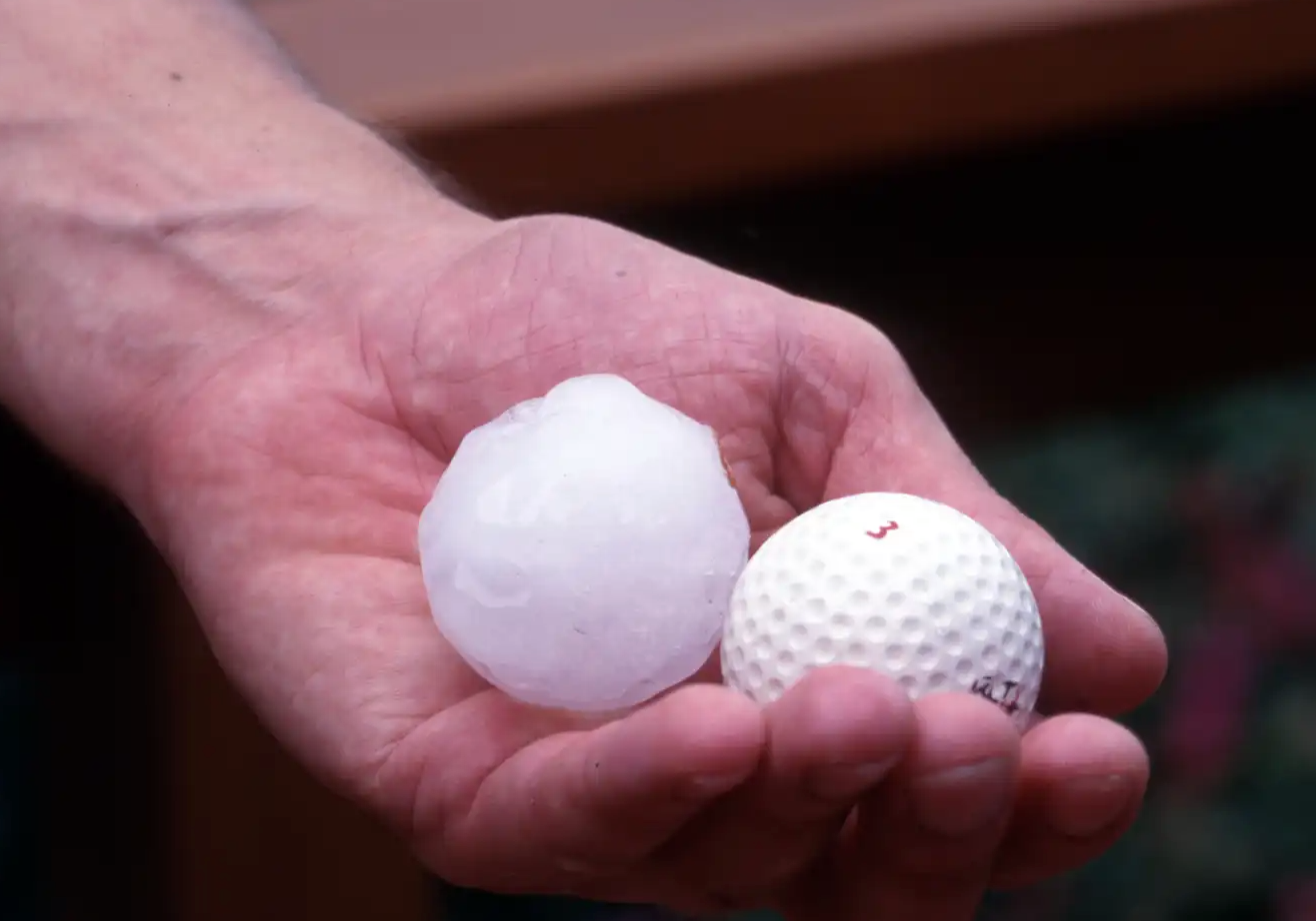 Golf Balls vs. Hailstones: Insurance Said It Was Golf Balls