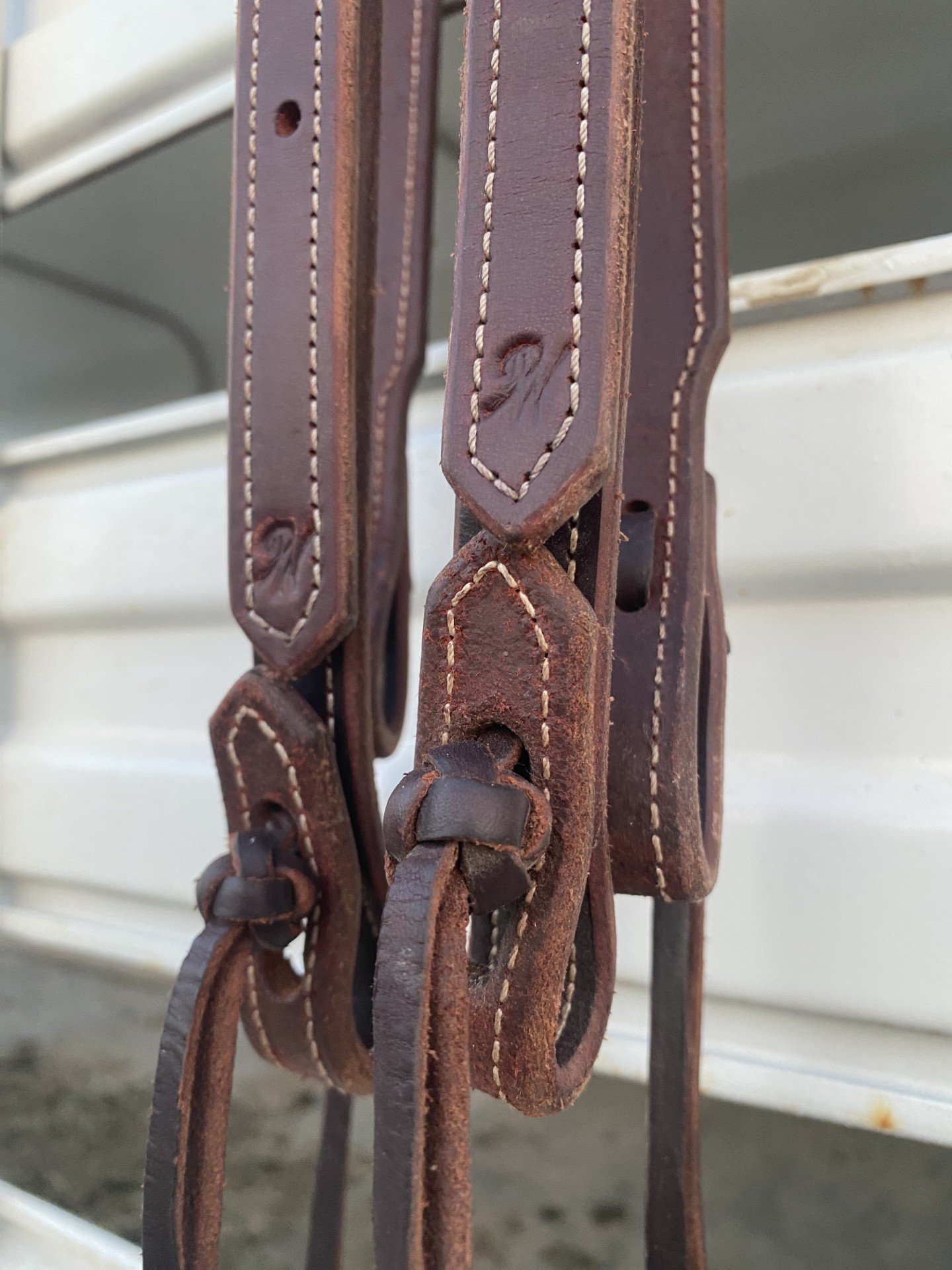 head stall 2.jpg