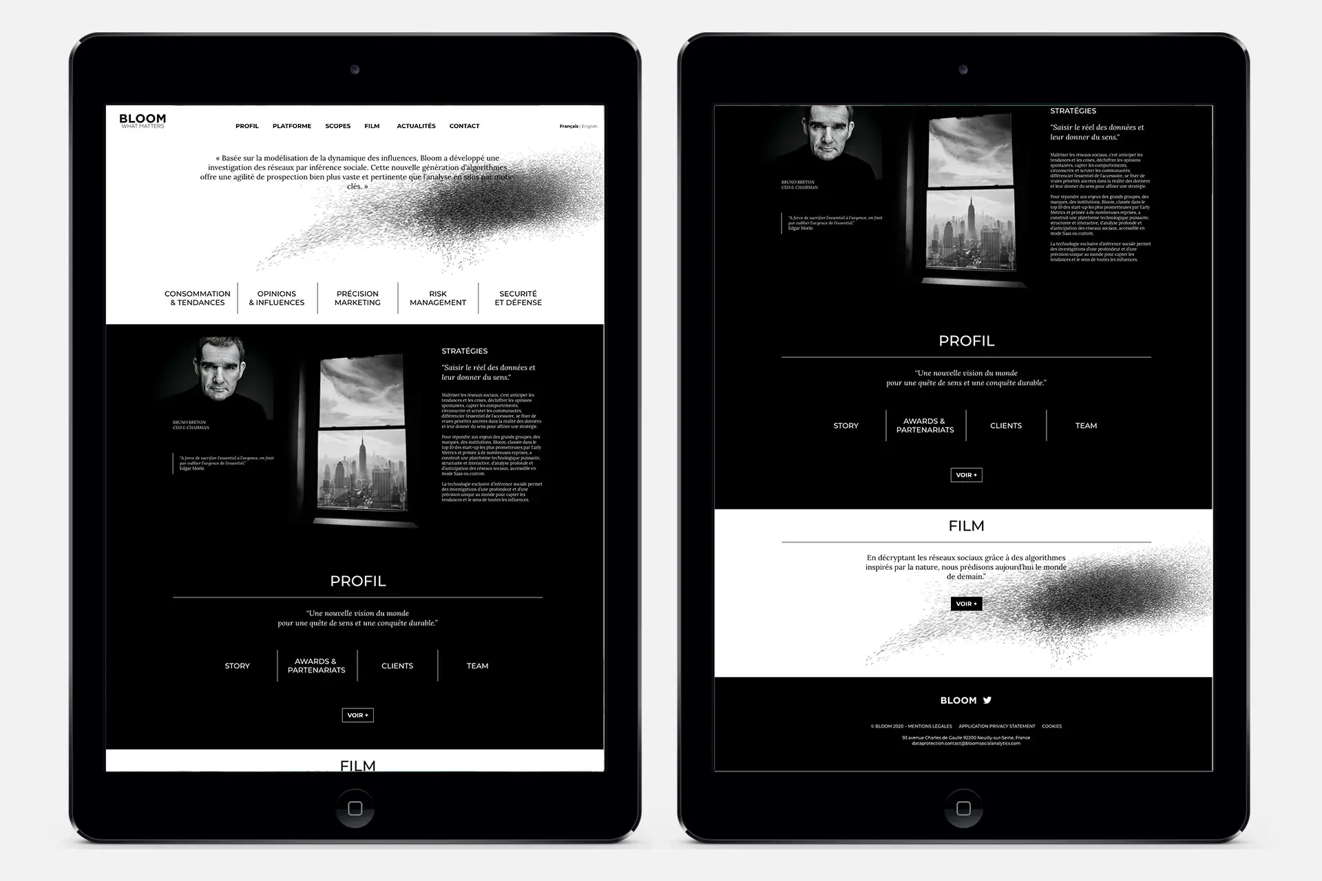 Design-Interface-Bloom-Social-Analitics-1.webp
