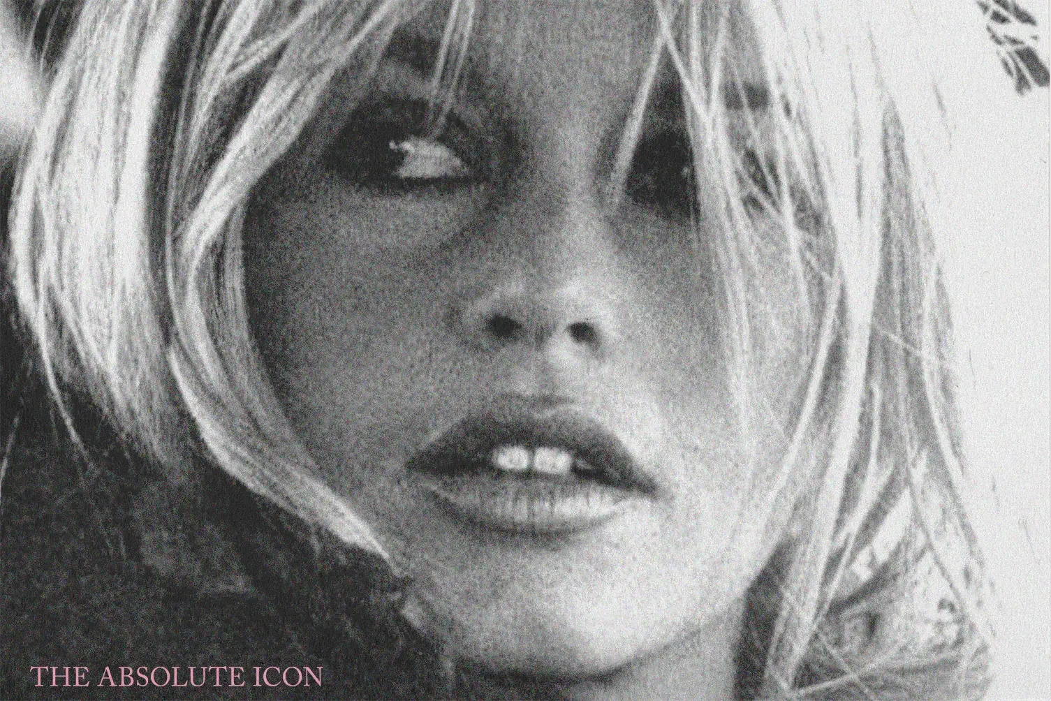 Bardot, du mythe au capital de marque