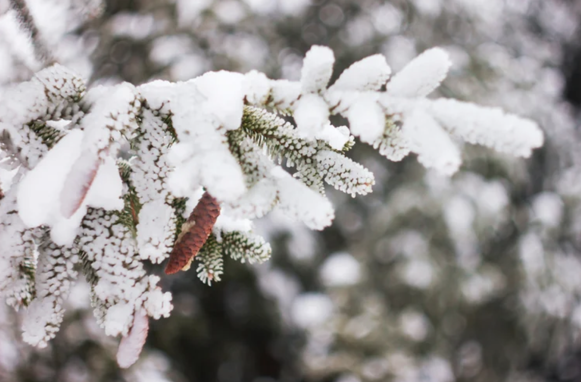 January 2026 Legal Updates: Bankruptcy, Tax Preparation &amp; Landlord-Tenant Law in Michigan and Florida ⚖️