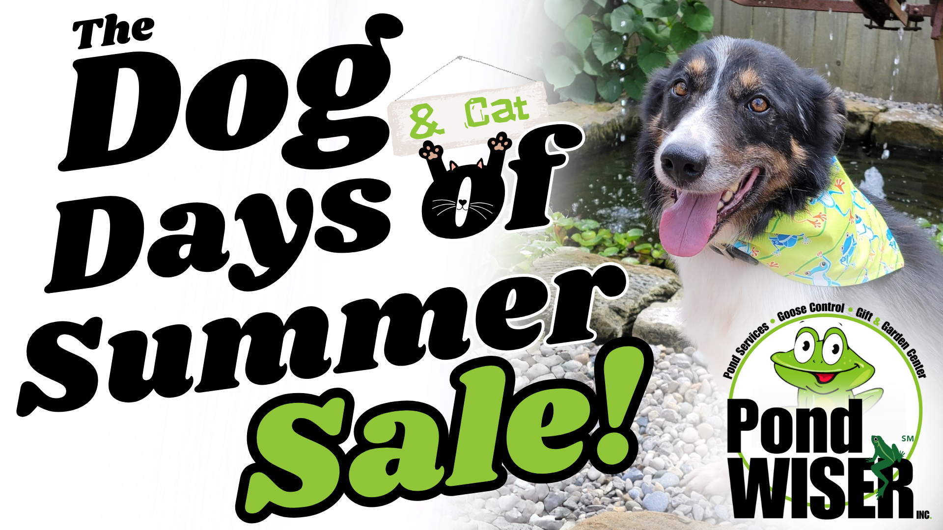 The Dog (& Cat) Days of Summer Sale