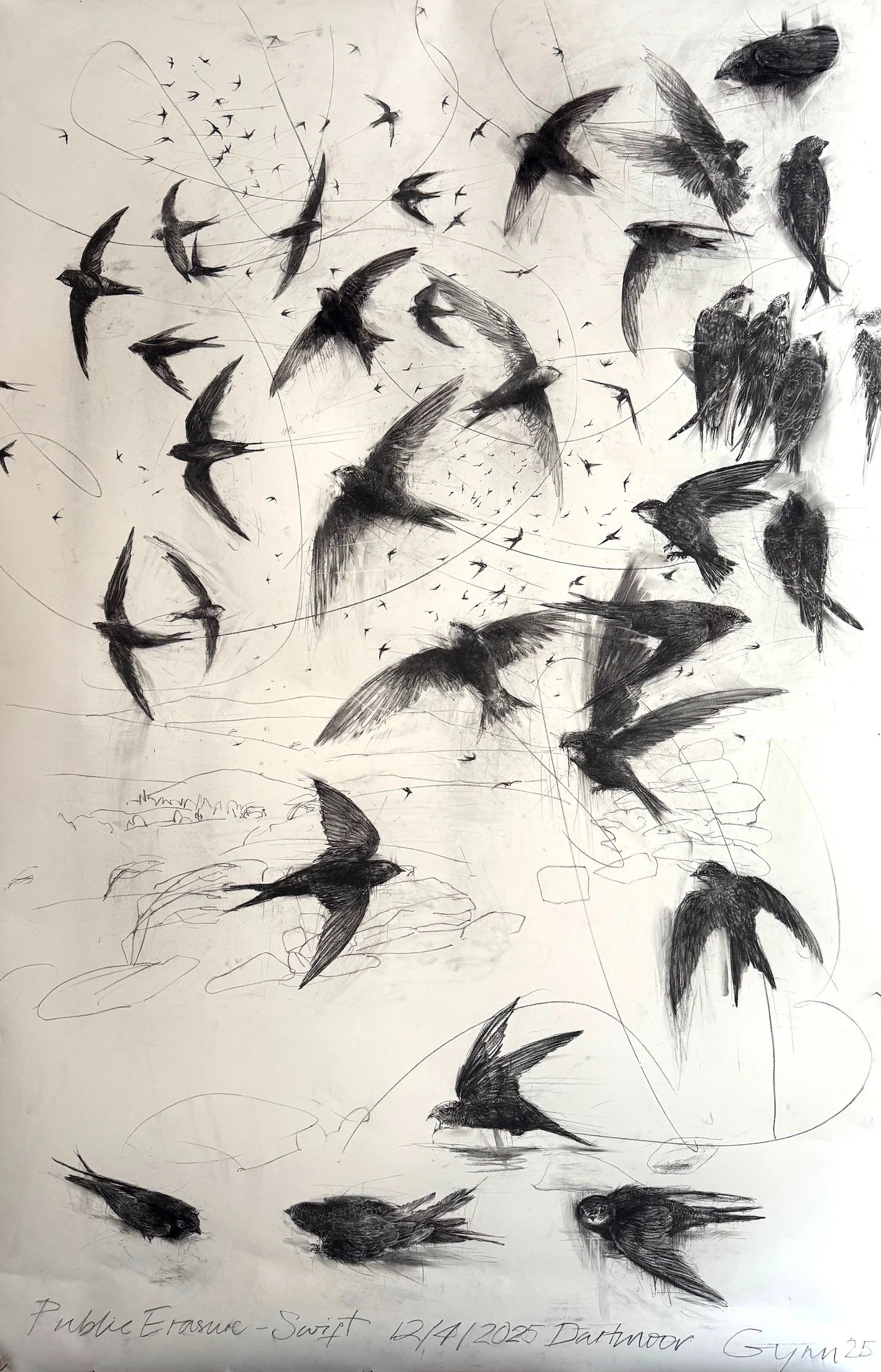 Public Erasure - Swift