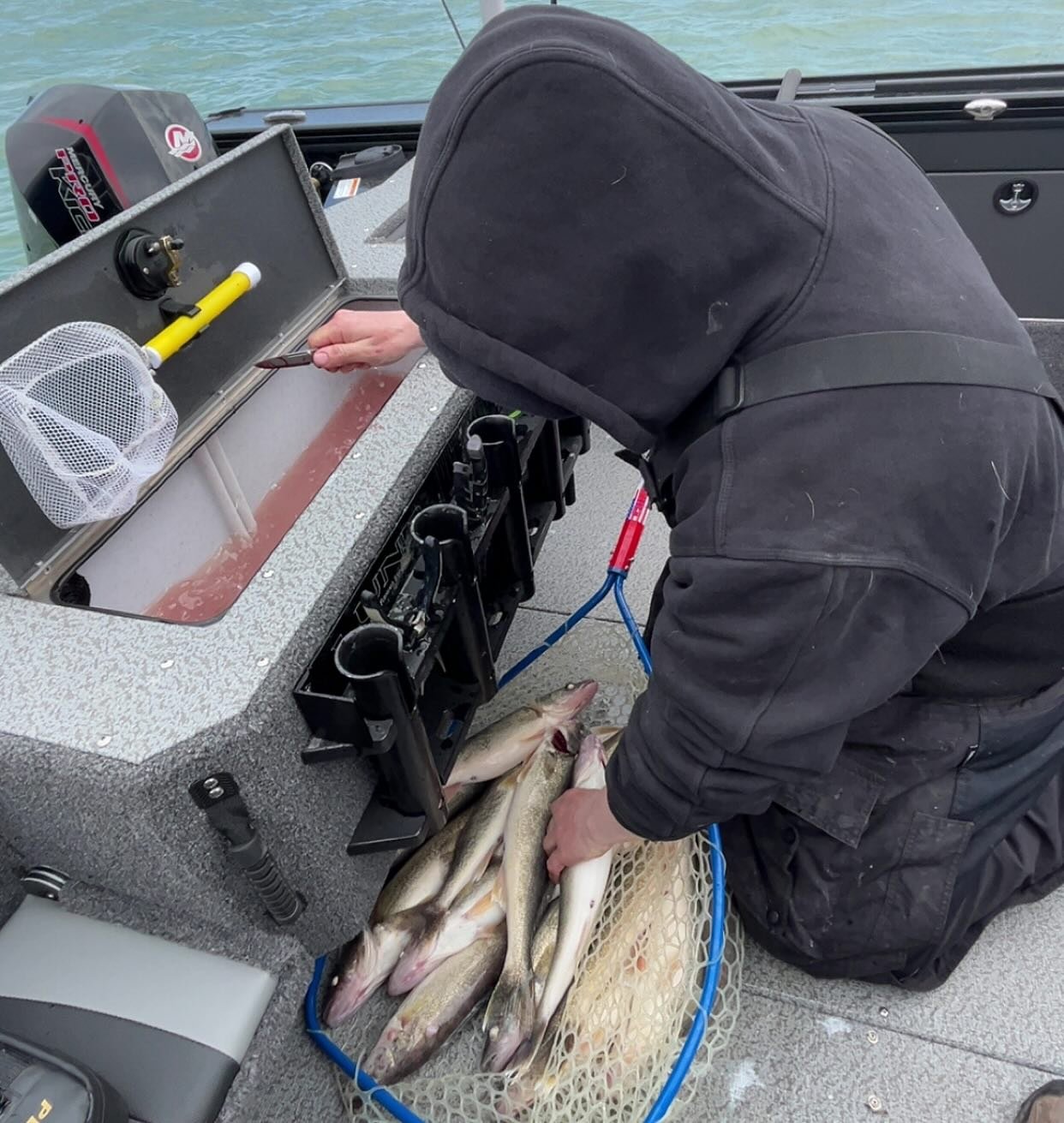 Had an awesome time jigging the D last weekend! There are few wildlife migrations that match this caliber of volume in the entire world! An estimated 10-12 million walleye will make their way through the system every spring!! 🤯 #WalleyeFishing #Detr