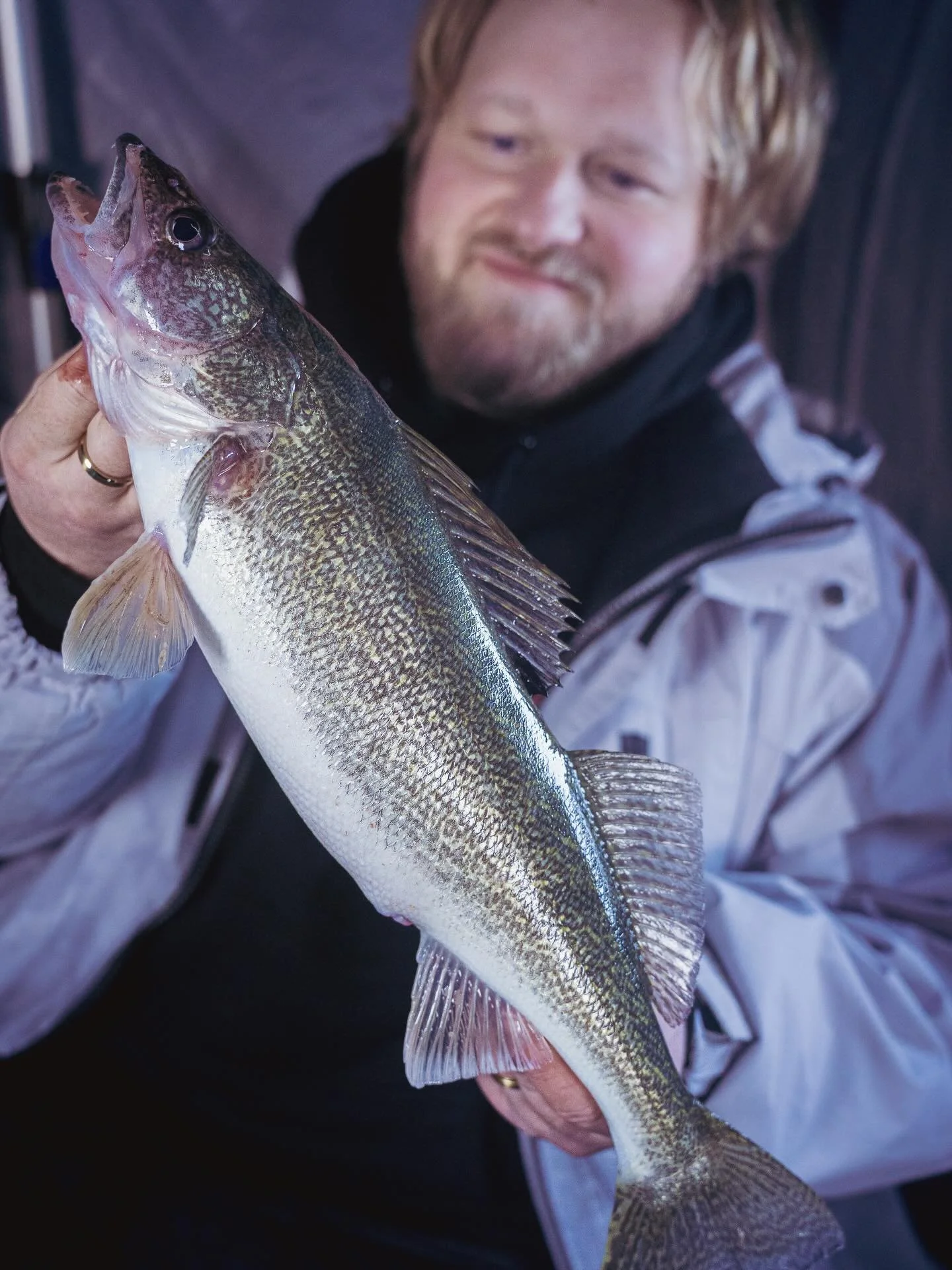 It&rsquo;s looking to be a good winter for ice fishing! For those who enjoy big water game fish adventures, like chasing walleye on Saginaw Bay, there&rsquo;s a hot article incoming SOON on ForesightFishing.Com we did with @teamgunsmokesportfishing ?