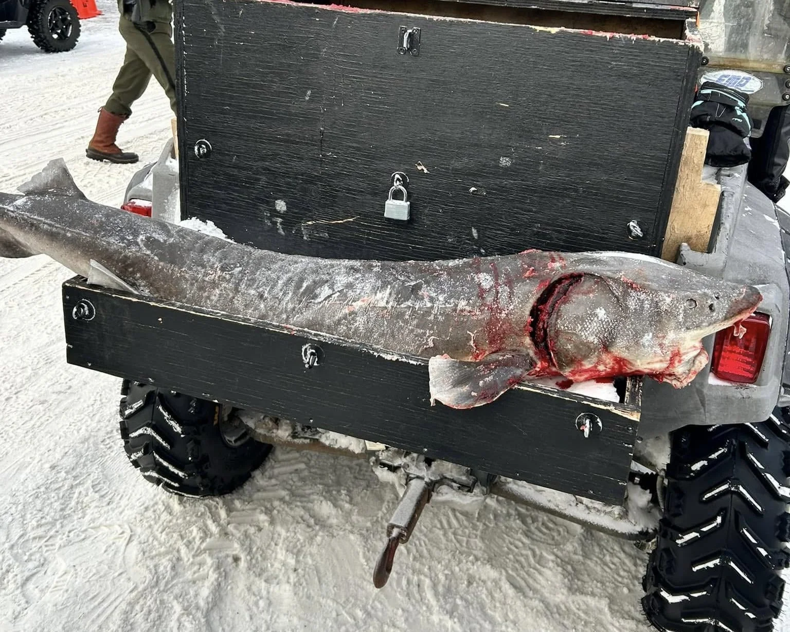 Beyond the Spear: Legacy, Tradition, and Restoration of Sturgeon on Black Lake
