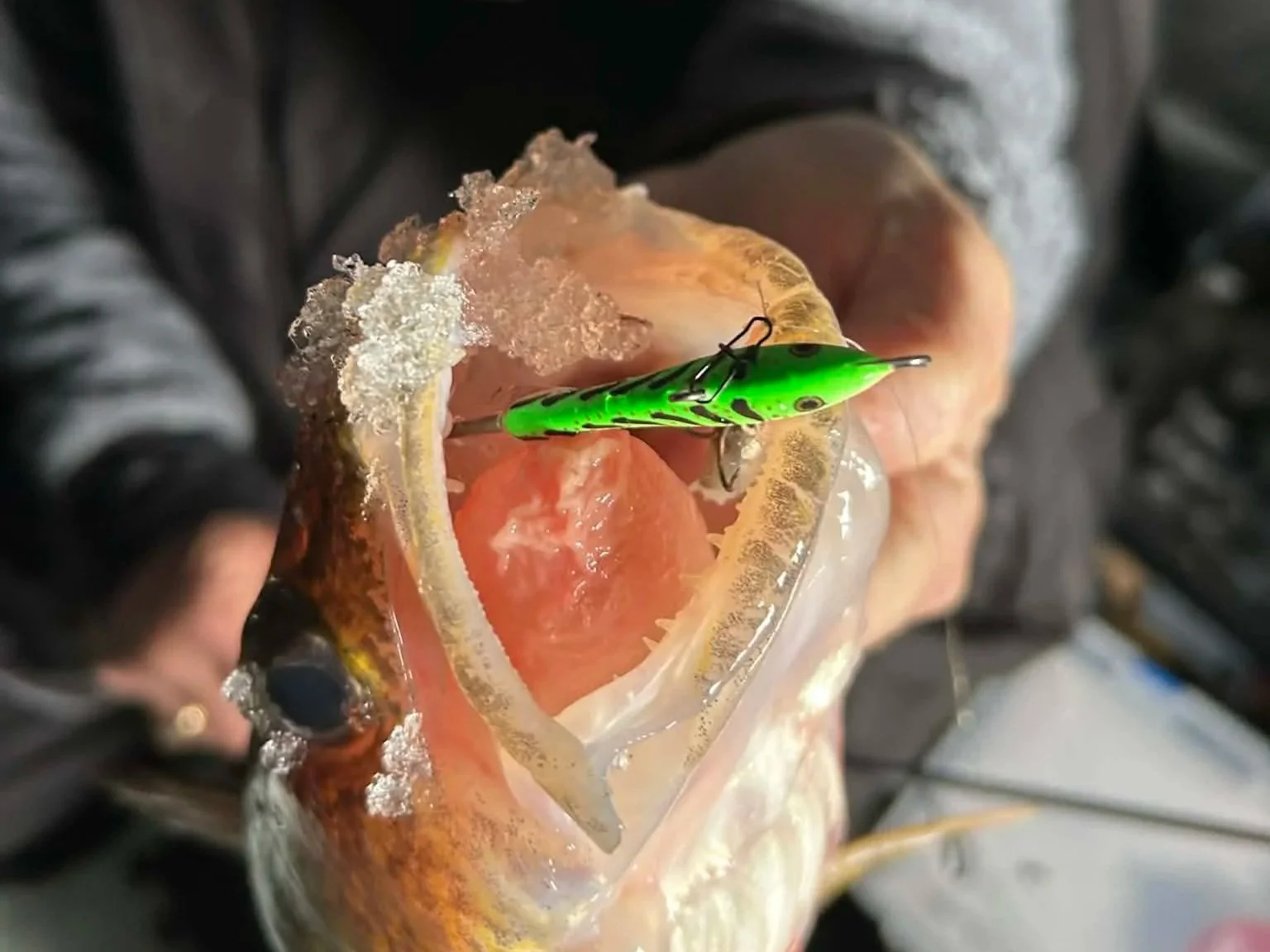 Late Season Limbo: Understanding Elaborate Lake Contour to Offer E-Z Pickins&nbsp;