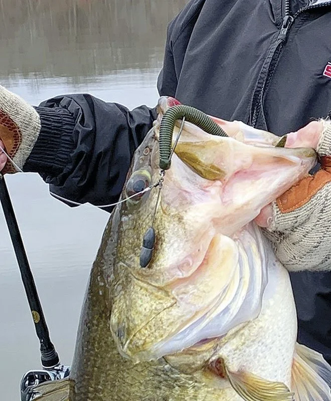 Lure-Review-Missle-Baits-01.jpg