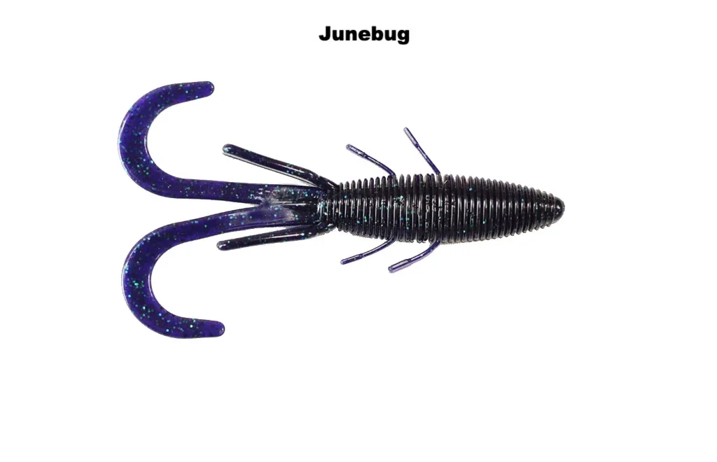 junebug_2048x.webp