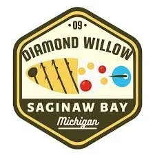 A badge for Diamond Willow in Saginaw Bay, Michigan, featuring a golf club, golf balls, and a ball marker.