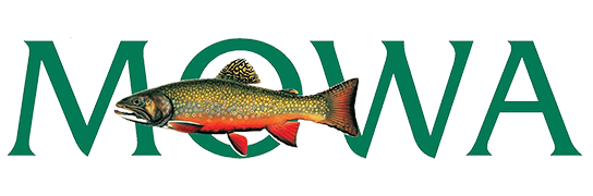 Archerfish jumping through the letter 'O' in the logo for MOWA, the museum of the Wapsipinicon Watershed.