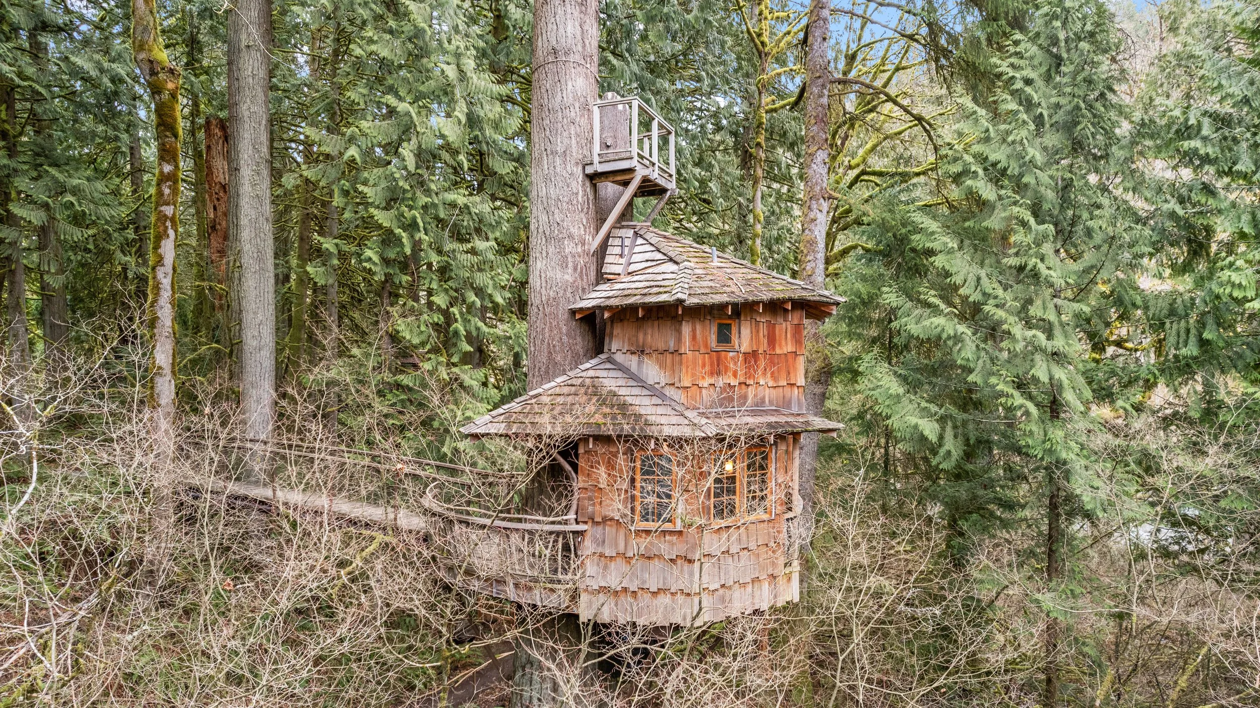 Burl: The Honeymoon Suite at Treehouse Point