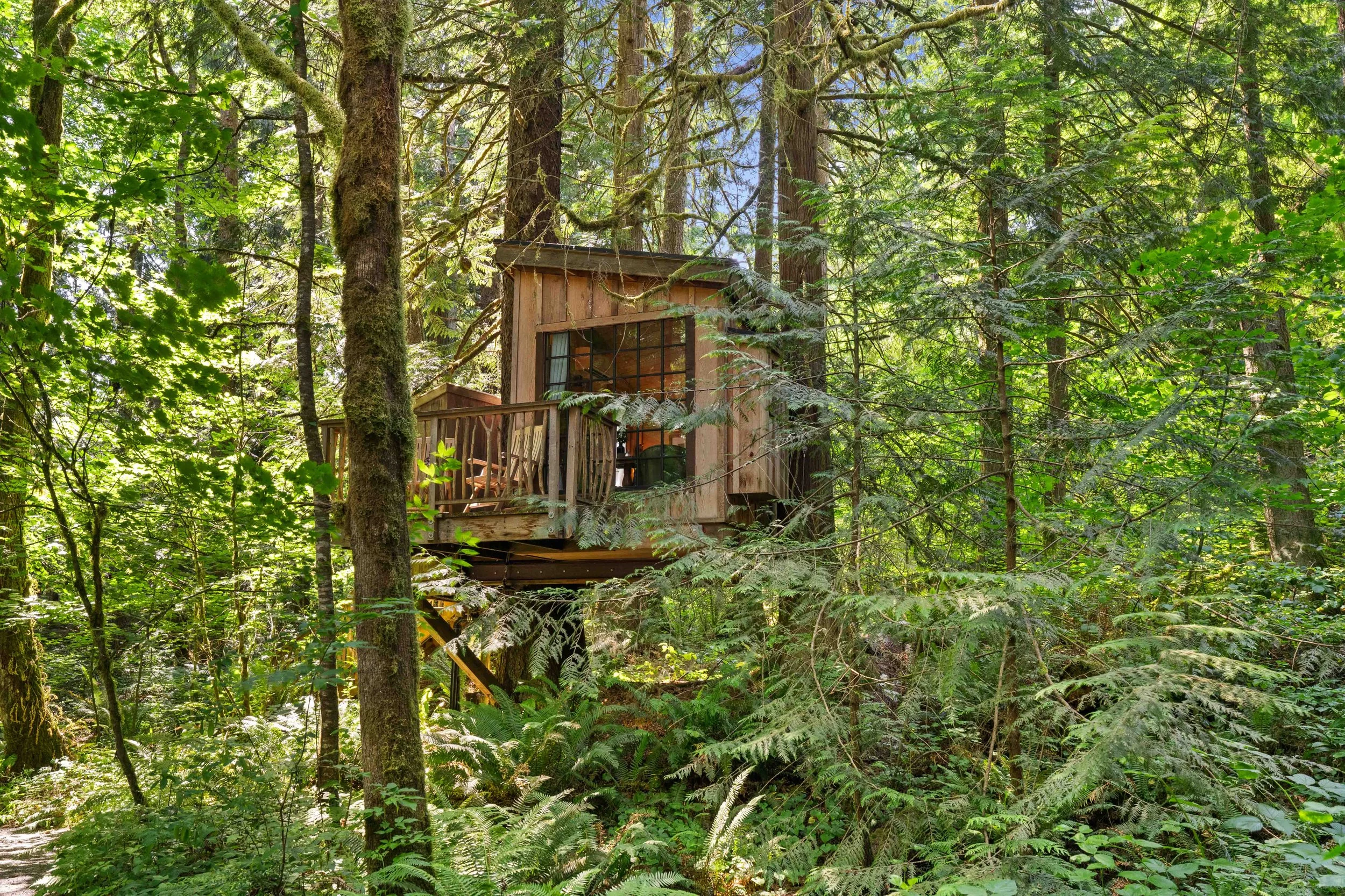 Nest: The Coziest Treehouse at Treehouse Point
