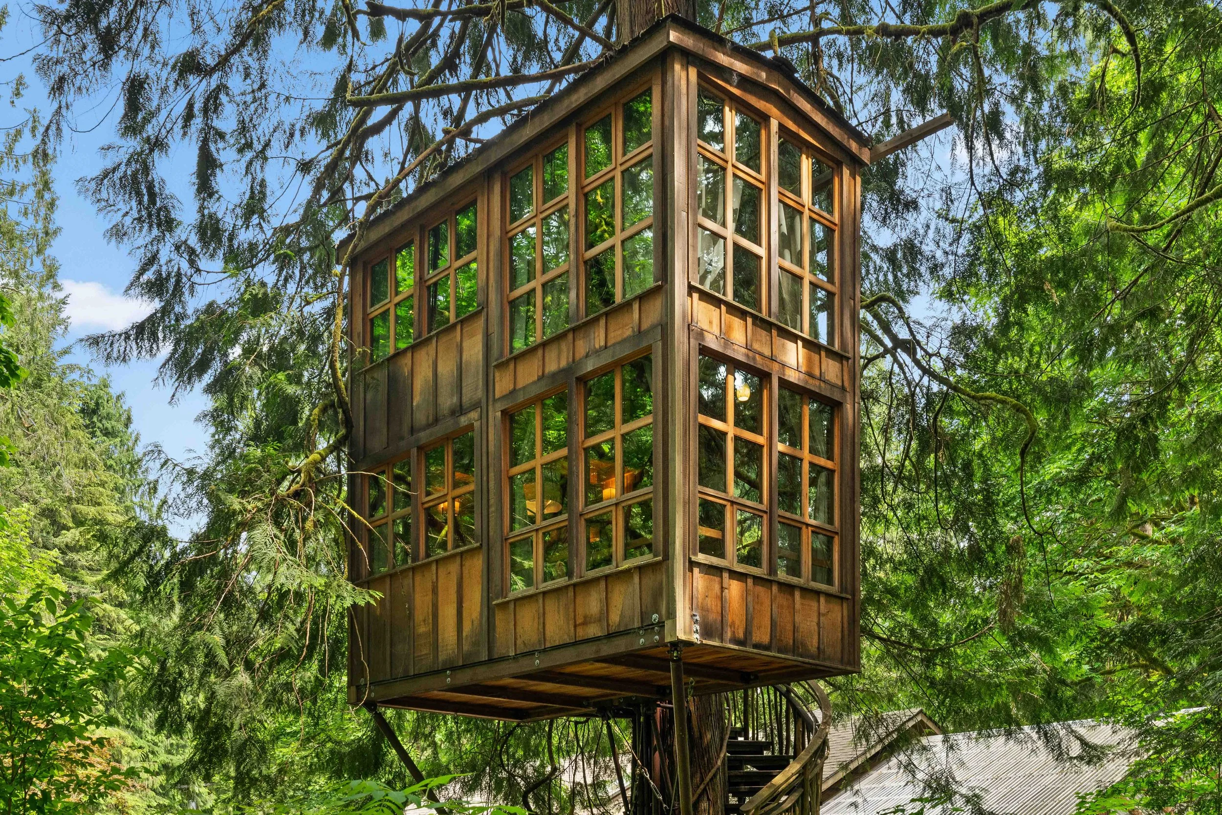 Trillium: The Tremendous Treehouse of Windows