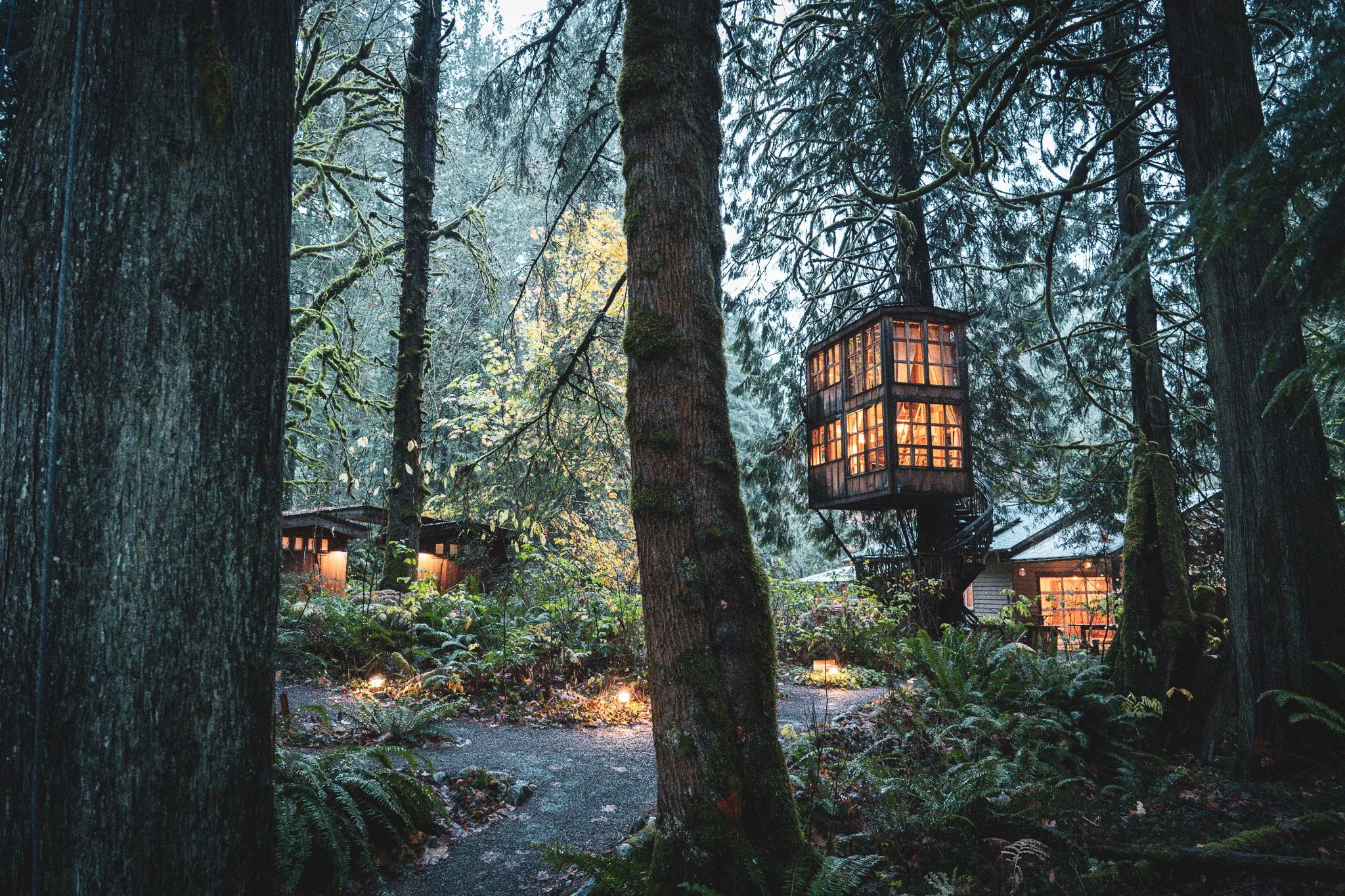 Winter at Treehouse Point: A Whimsical forest Getaway