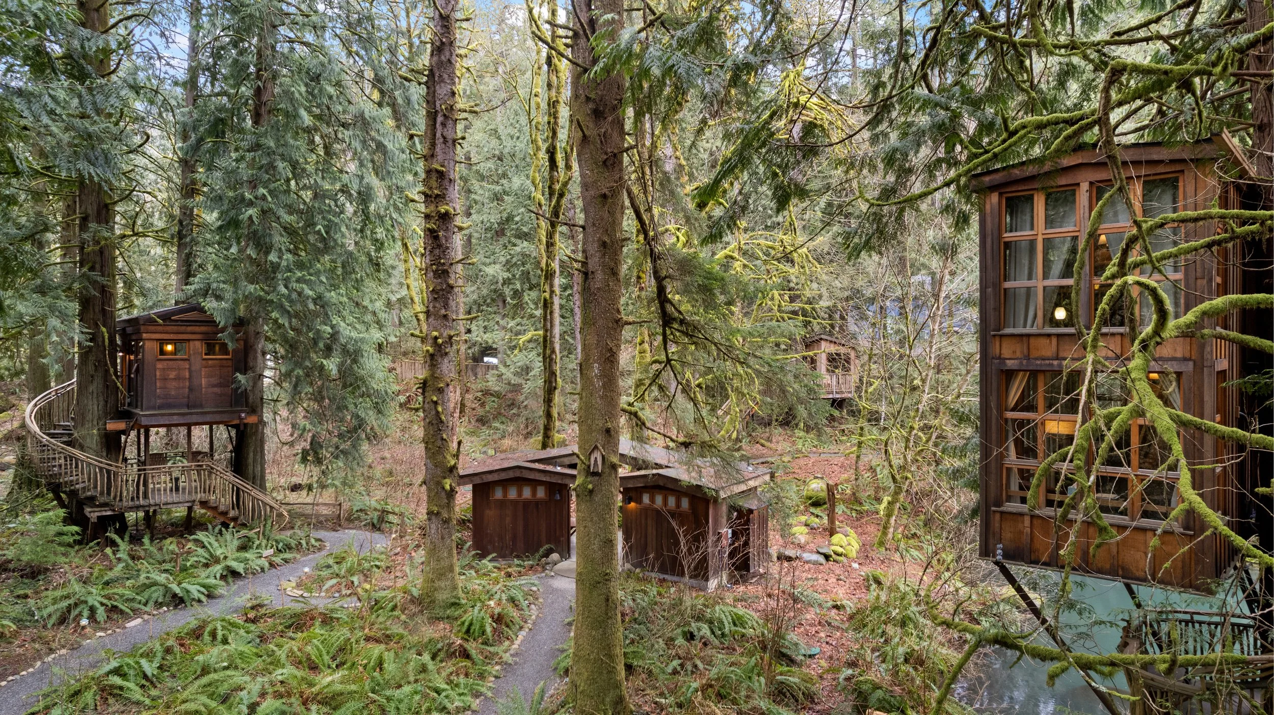 The “Big Four” Treehouses: Iconic Guest Favorites