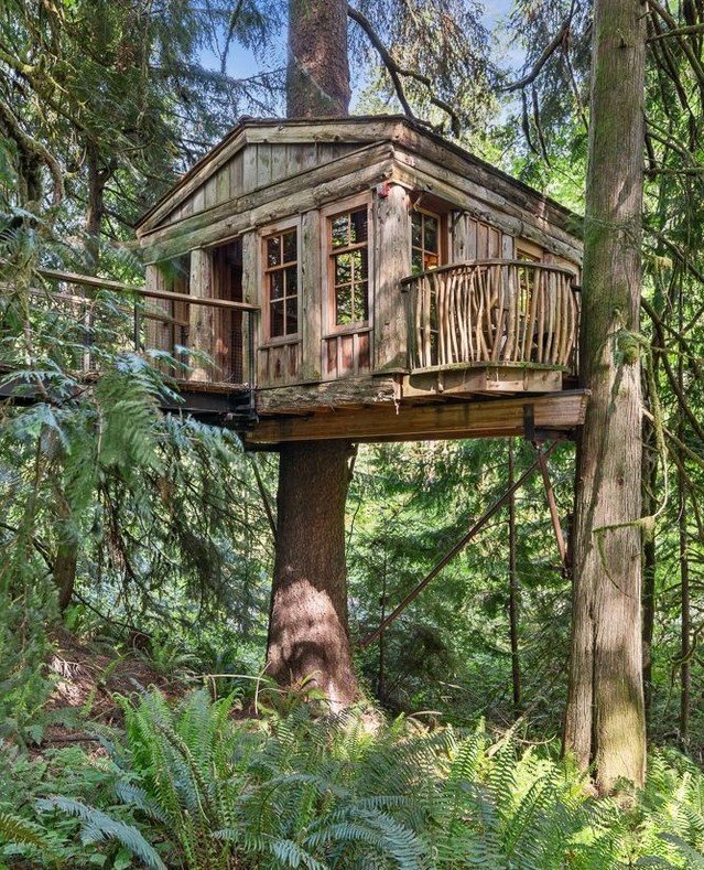 Meet the &ldquo;Big Four&rdquo; treehouses in our newest blog post: Temple of the Blue Moon, Trillium, Burl, and Ananda! From iconic treetop architecture to romantic honeymoon escapes, each treehouse offers a whimsical stay among evergreens. Which on