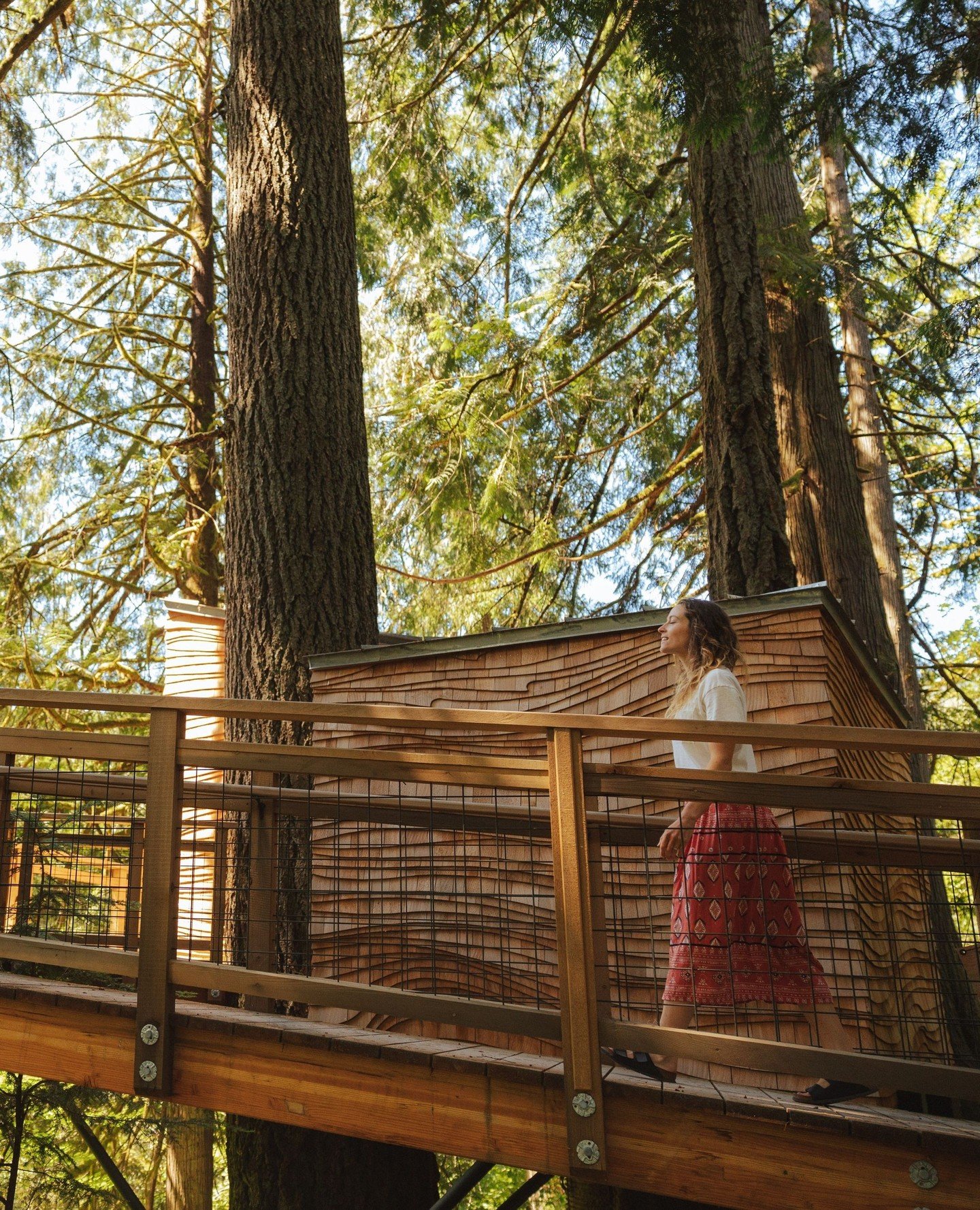 Spend a magical night tucked high in the canopy! Treehouse Point is now offering single-night stays for the month of May - the perfect excuse for a one night trip to the forest 🌲⁠
⁠
Elevate your date night in the treetops. Link in bio to book🌿✨⁠
⁠
