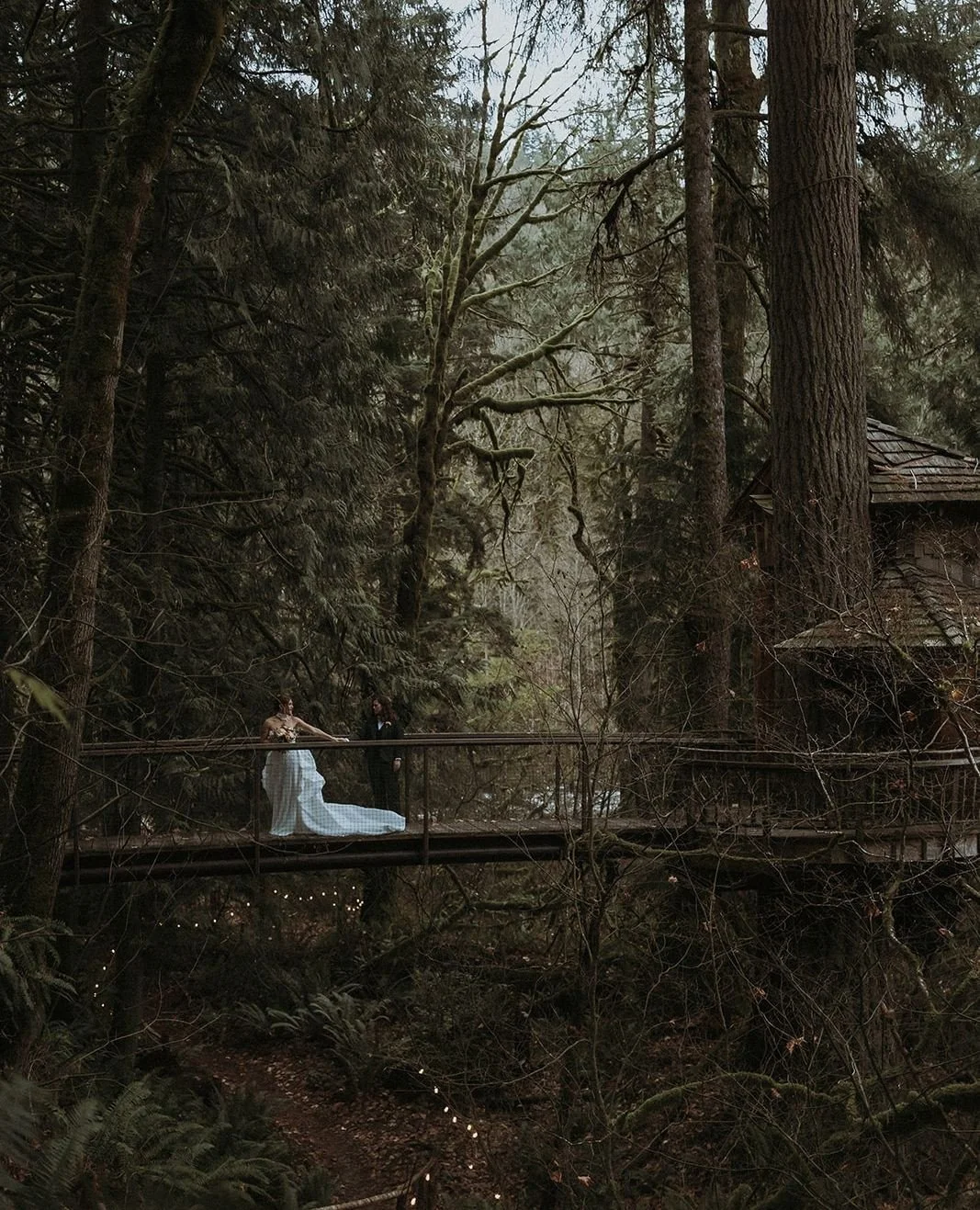 🌲💍 There's only one week left to save 15% on your 2026 Treehouse Point wedding! Moody, romantic, and full of whimsy, we are excited to be the backdrop for your special day. ⁠
⁠
Also, peep the cutest chicken waffle wedding sandwiches we've ever seen