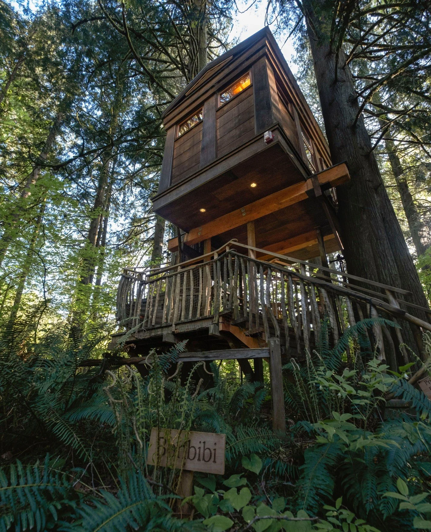 Your spring treehouse getaway is calling... 🌲🌷✨️ ⁠
⁠
Send this to someone you want to go on a spring break adventure with in the forest 💌 Link in bio to book!⁠
⁠
📸: @kelseybum⁠
⁠
#treehouse #spring #getaway #forest #washington #springbreak