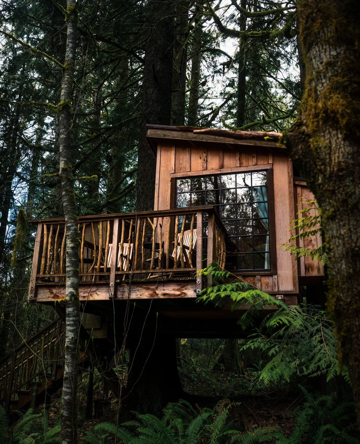 Calling all lovebirds! Your treehouse getaway nest awaits 🪺⁠
⁠
Nest at Treehouse Point is an ultra-cozy retreat, tucked high among towering cedar and spruce trees. Inside, you&rsquo;ll find a plush queen bed, two reading chairs, and charming bird-in