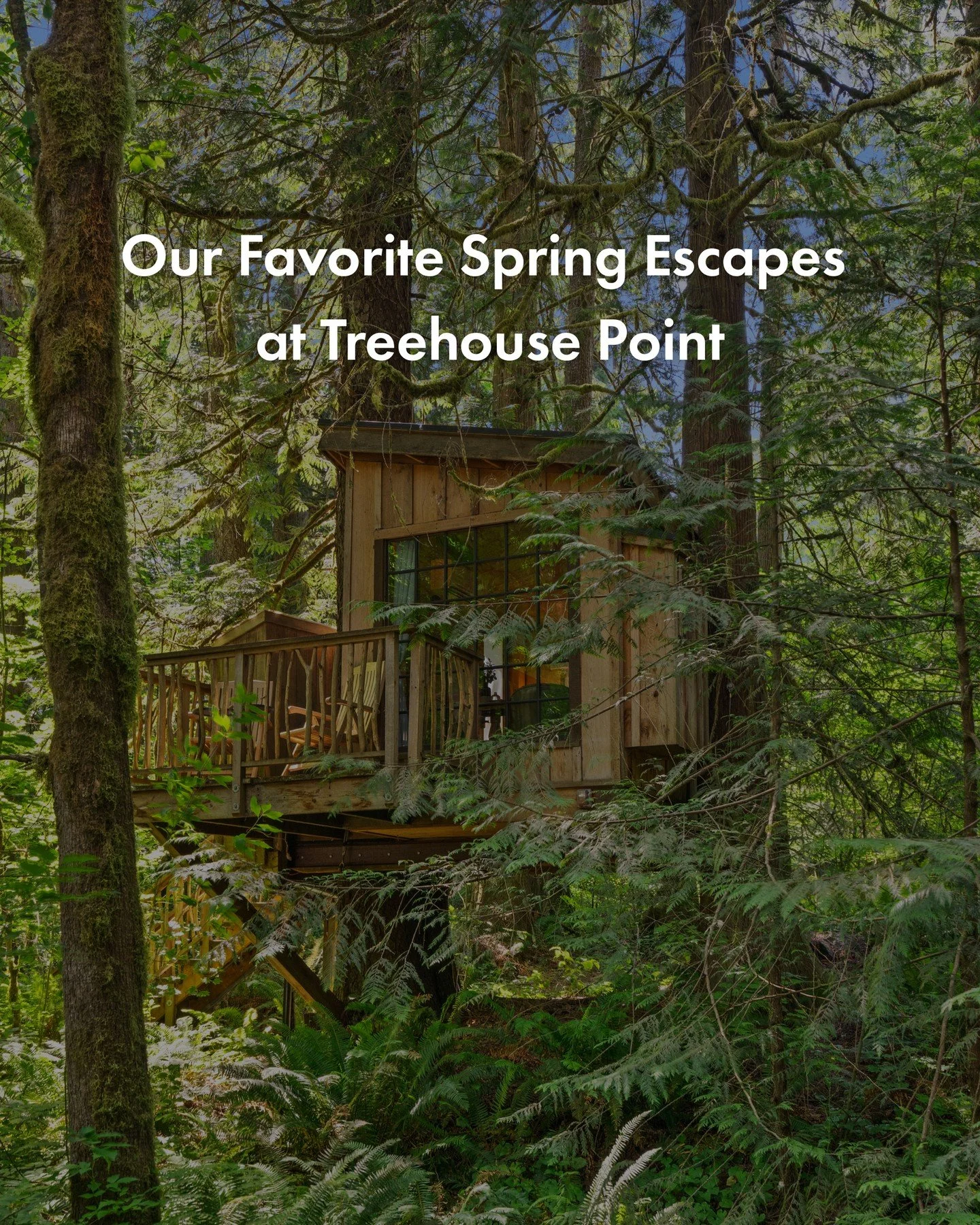 Send this to someone you want to stay in a treehouse with this spring! 🌷💌⁠
⁠
Though the treehouse forest is beautiful all year round, there are certain aspects that make spring getaways especially whimsical. Below are our top three springtime getaw