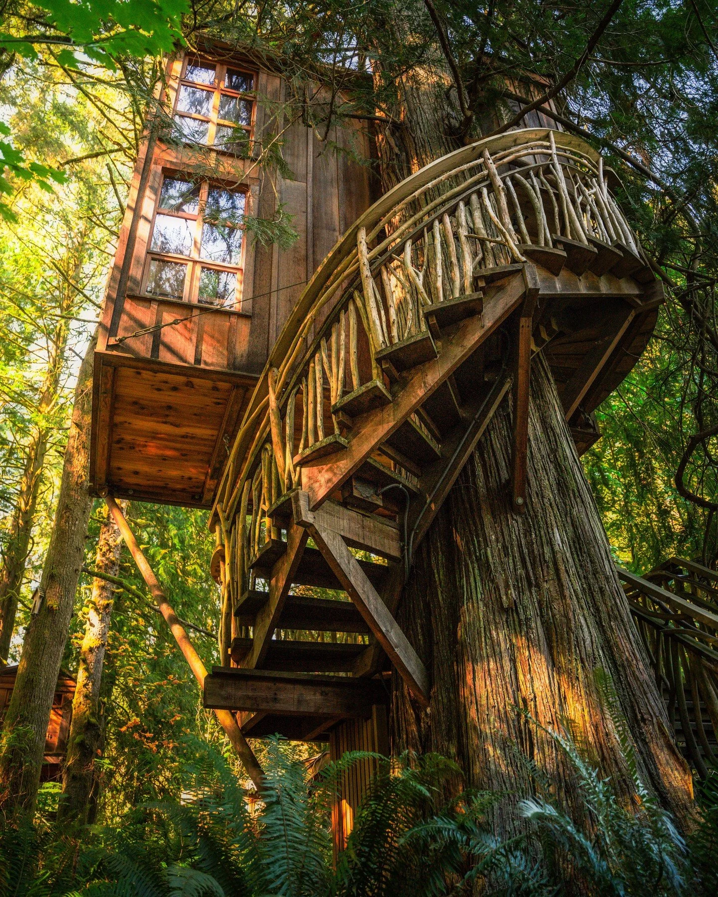 Your favorite treehouses are still available for the last week of April! 🌲🍃 ⁠
⁠
Are you a Snoqualmie Valley local? Enjoy 20% off your Treehouse Point stay during April 27th - May 1st when you contact our office to book and provide proof of residenc