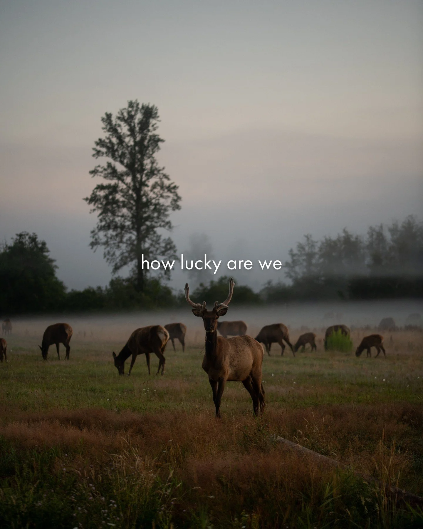 Happy Earth Day 🌎️✨️⁠
⁠
We are so thankful to be living in such a gorgeous, giving world. Our home in the Snoqualmie Valley has an extra special place in our heart - from its towering mountains to coursing rivers, we are so lucky to reside here.⁠
⁠
