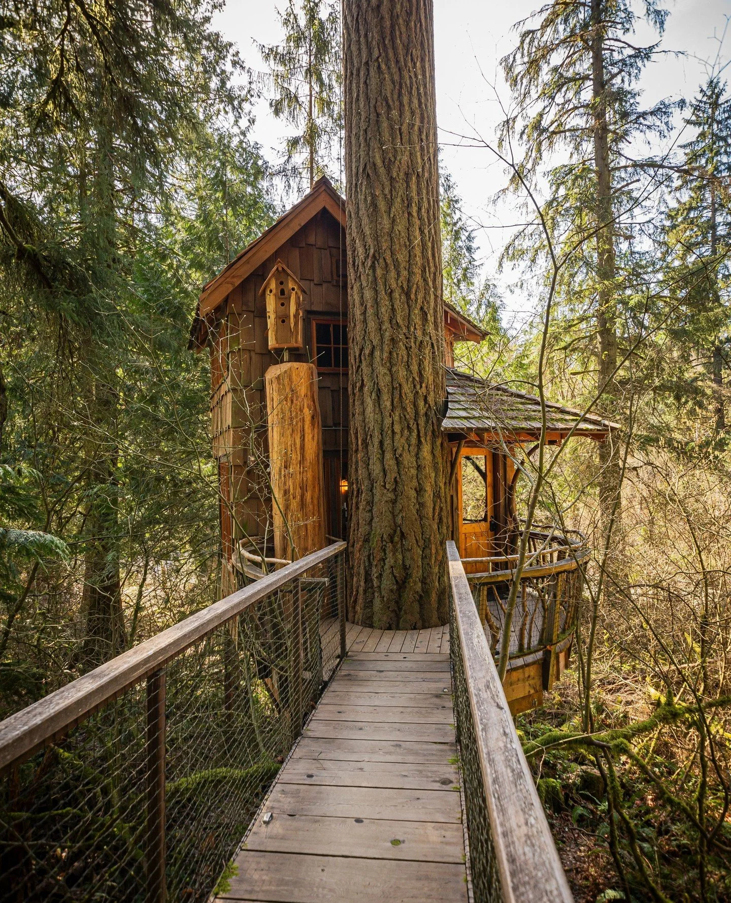 We've been voted BEST TREEHOUSE STAY OF 2026 for the @thezoereport Reader's Choice contest. Thank you to everyone who voted for us and to everyone who continues to support our small, treehouse bed and breakfast 🥹🫶 We are so thrilled we get to share
