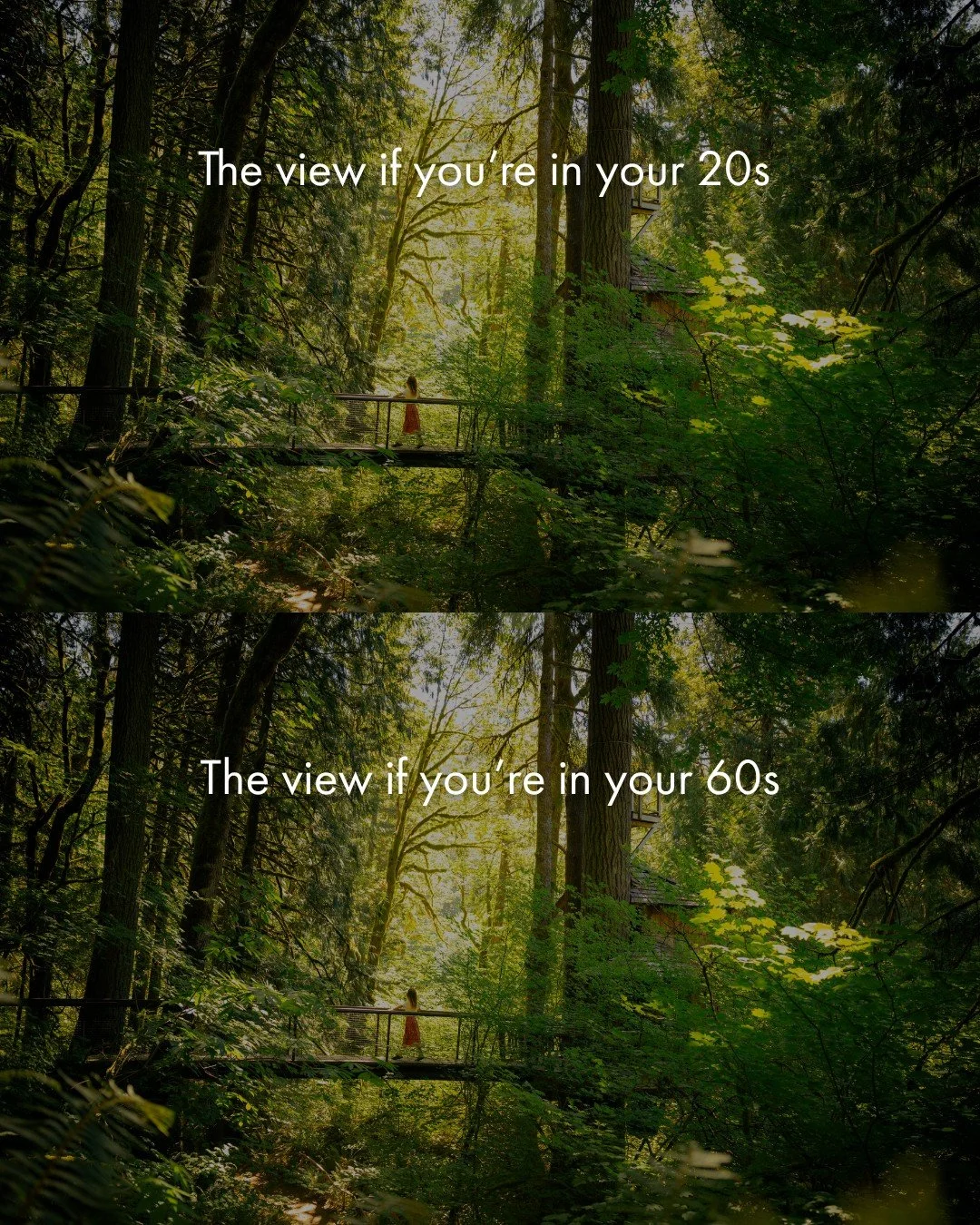 The view of the treehouse forest, however you show up 🤍 ⁠
⁠
Our cozy bed and breakfast, located just 22 miles from Seattle, Washington, has seven treehouses and three other one-of-a-kind accommodations to choose from. Pick your adventure today 🌲⁠
⁠