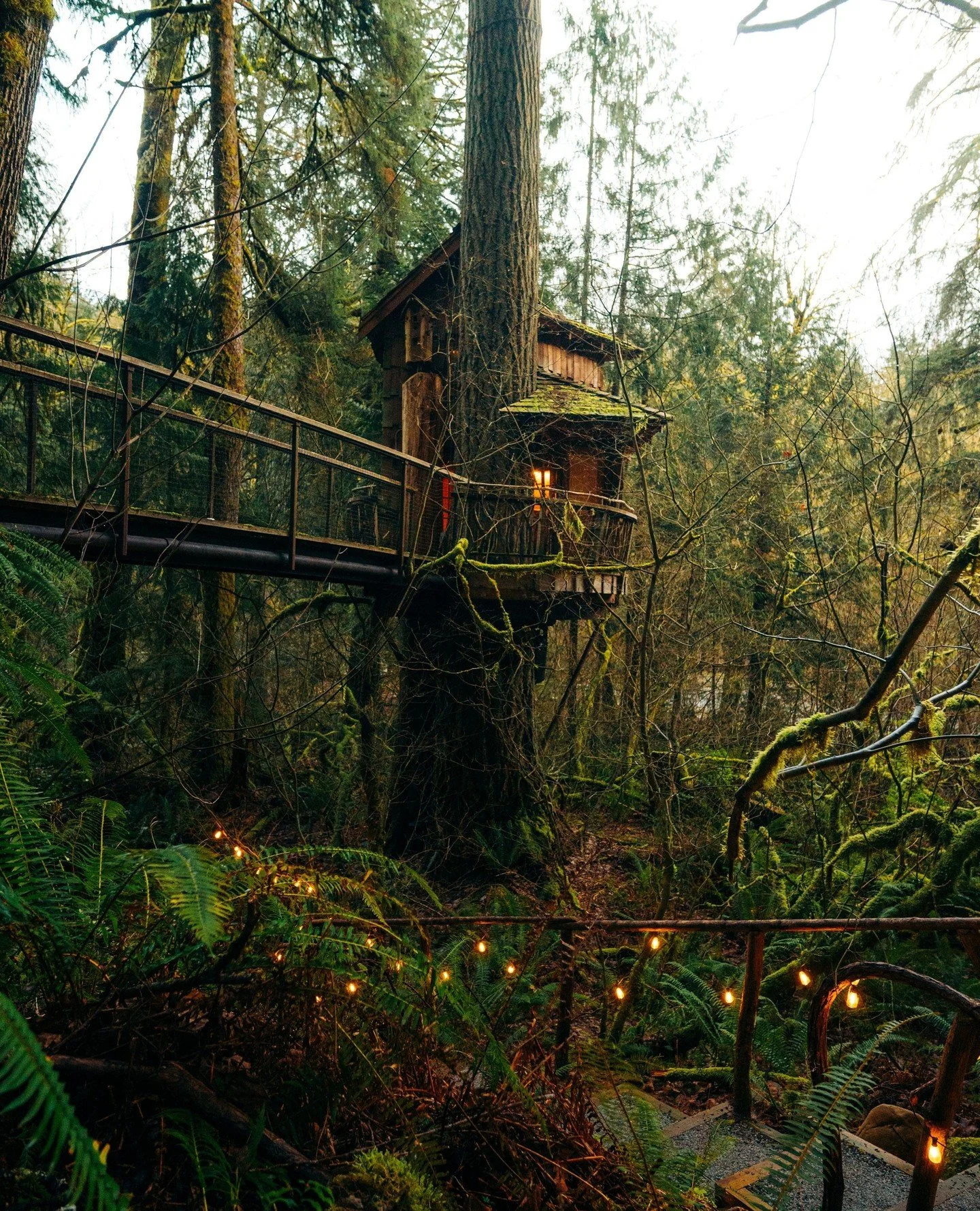 Meet Burl: a brooding, two-story treehouse full of romance. Burl is also known as the &lsquo;Honeymoon Suite&rsquo; because couples who get married at Treehouse Point often choose it as their treehouse of choice for their wedding night. 🌙✨️⁠
⁠
Just 