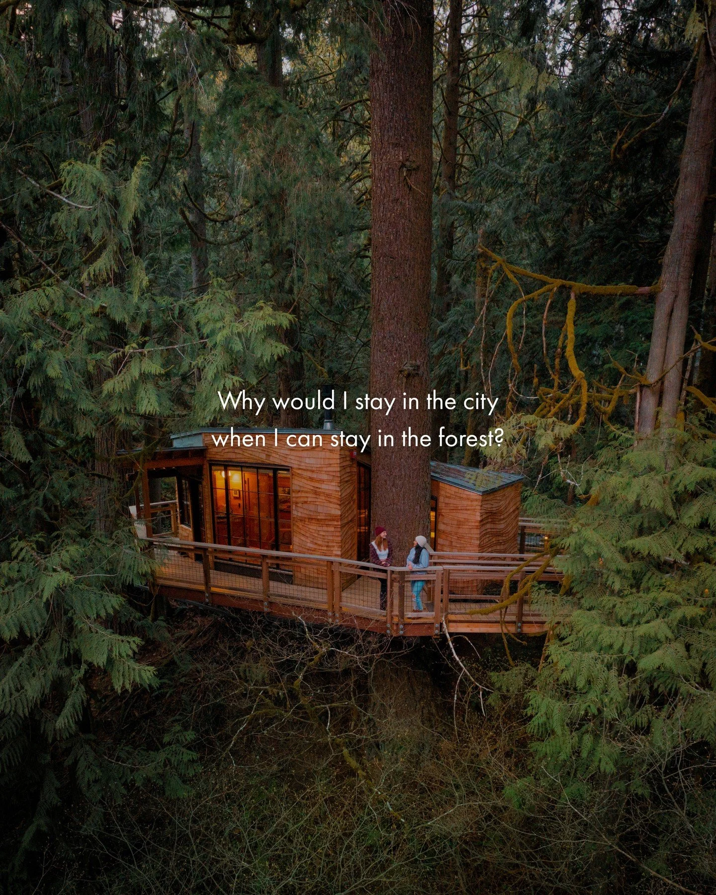 Seattle is about to be packed with tourists, game-goers, and city dwellers alike ⚽️🌲 Escape the chaos with a stay tucked away in the forest at Treehouse Point. ⁠
⁠
Located just 22 miles east of Seattle, our treehouse retreat makes it easy to enjoy t