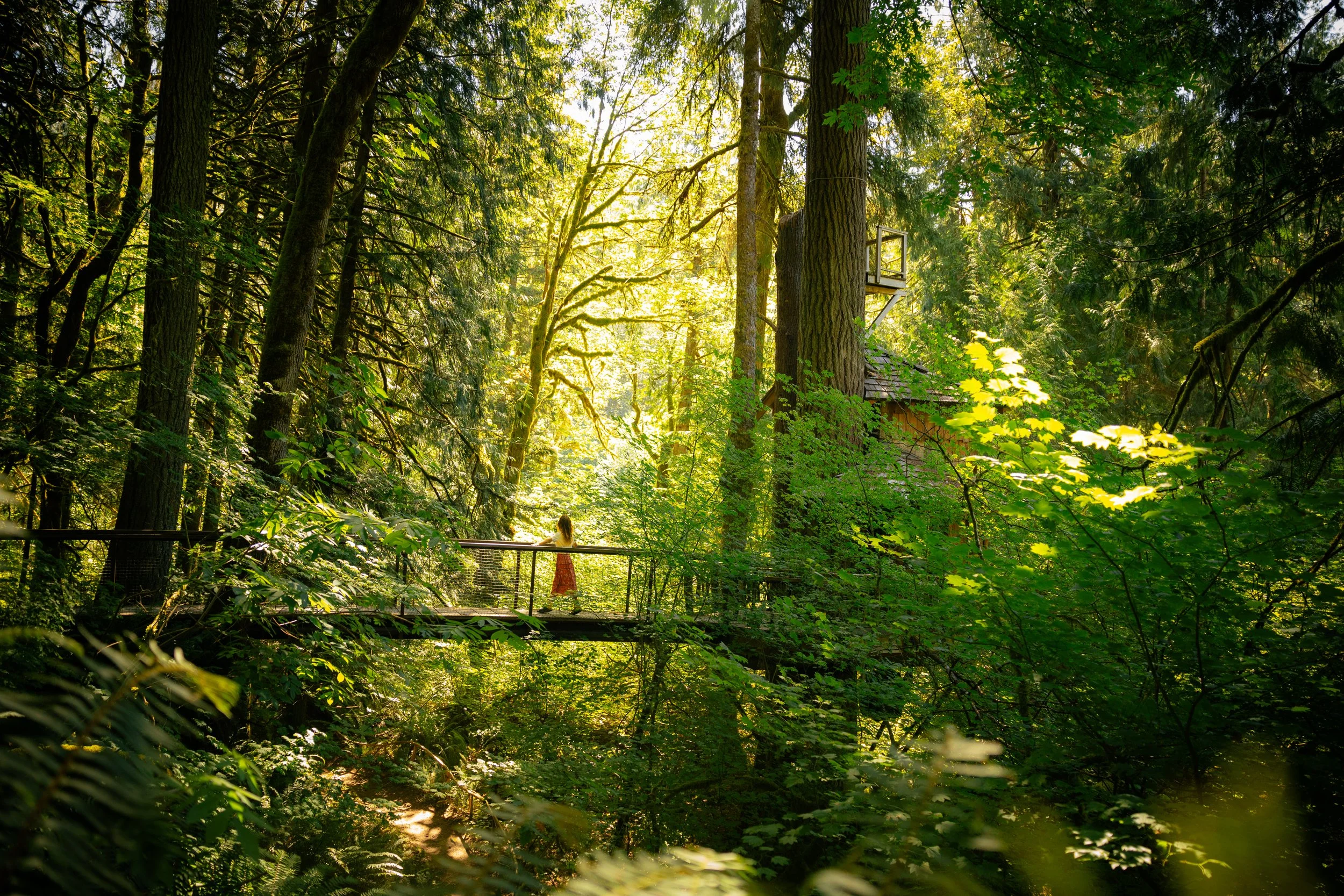 Looking for a Treehouse Tour Near Seattle? Here's How to Visit Treehouse Point