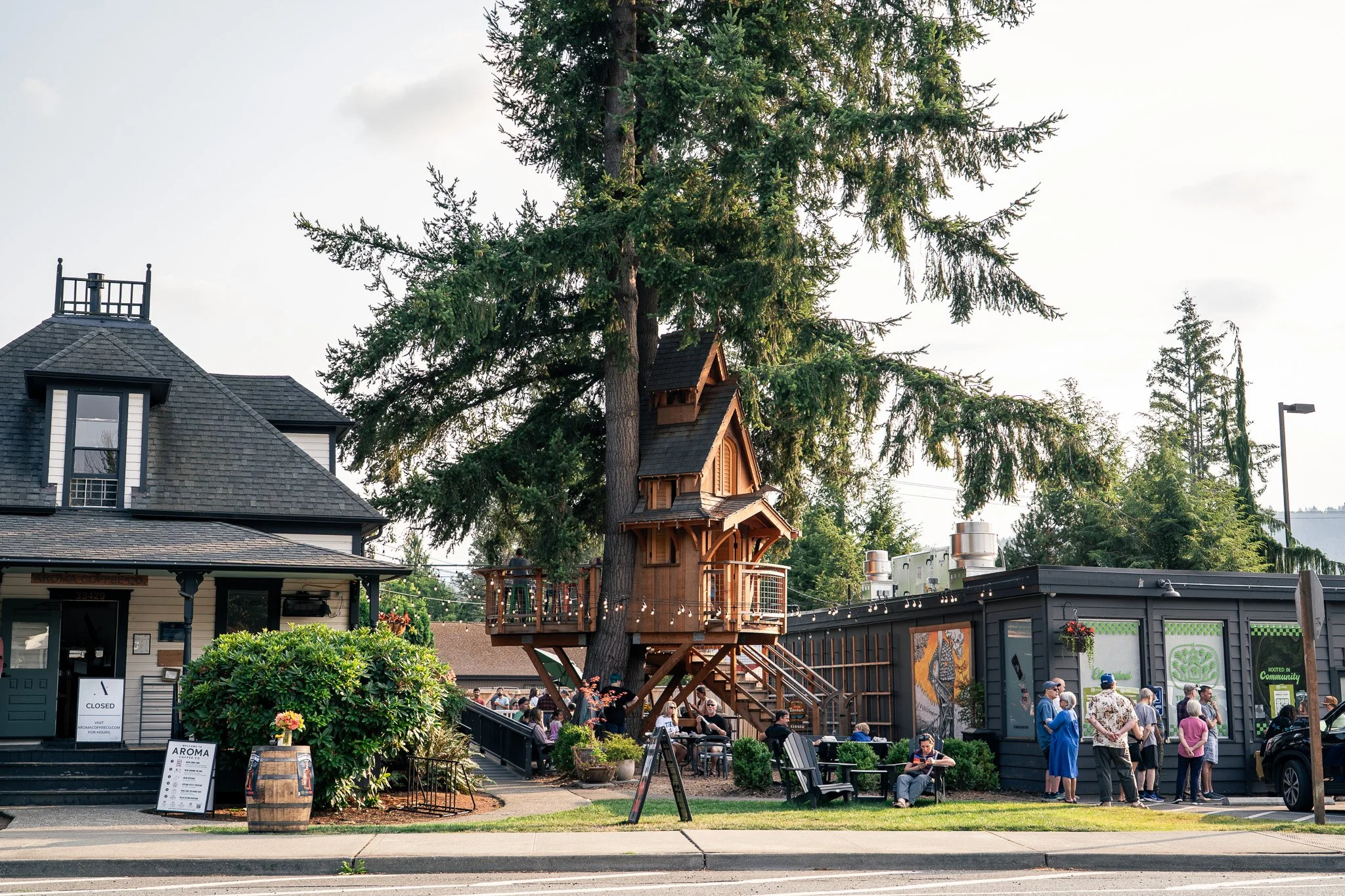 From Trees to Table: The Story of Treehouse Kitchen