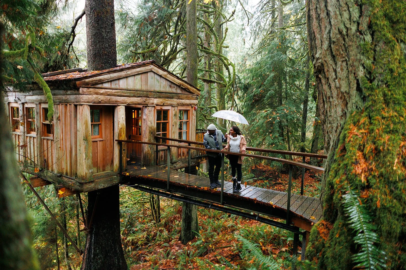 Things To Do Near Seattle This Autumn