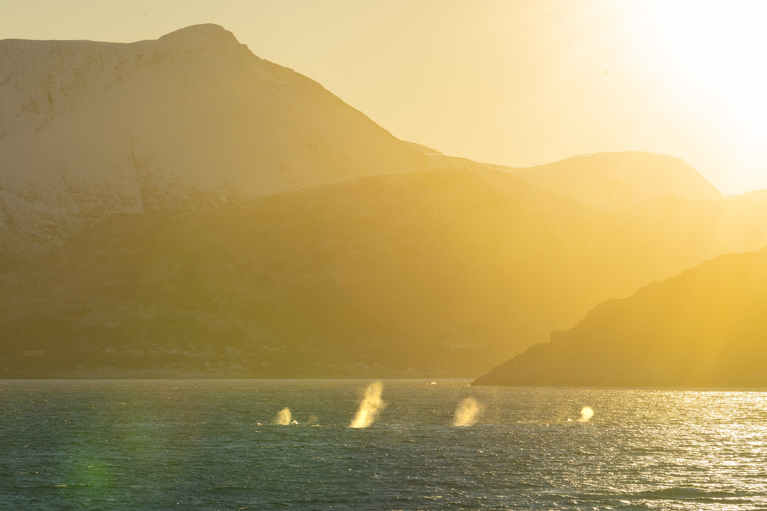 World Nomads: Norway