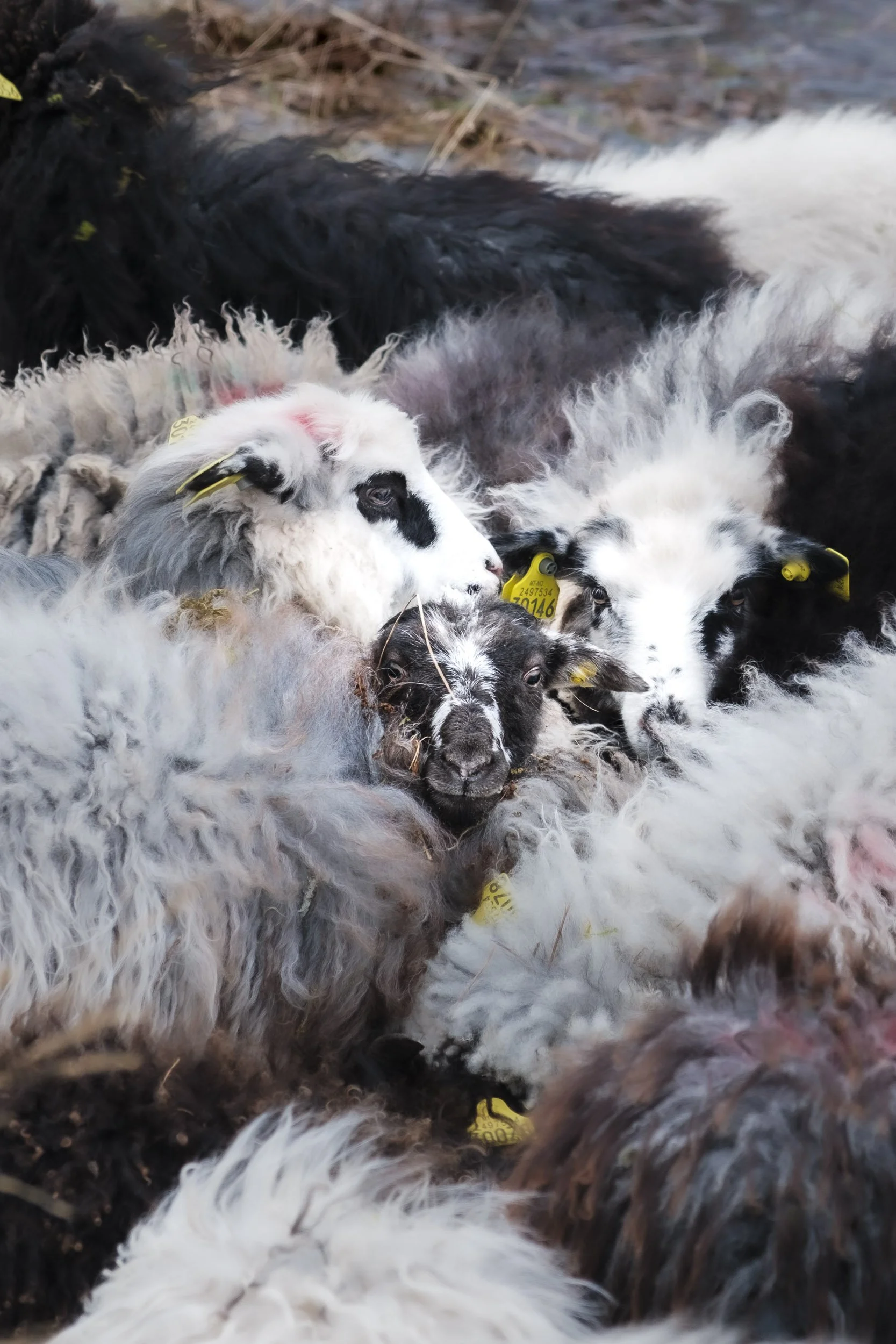 World Nomads - Les Latchman Content case study-12.jpg