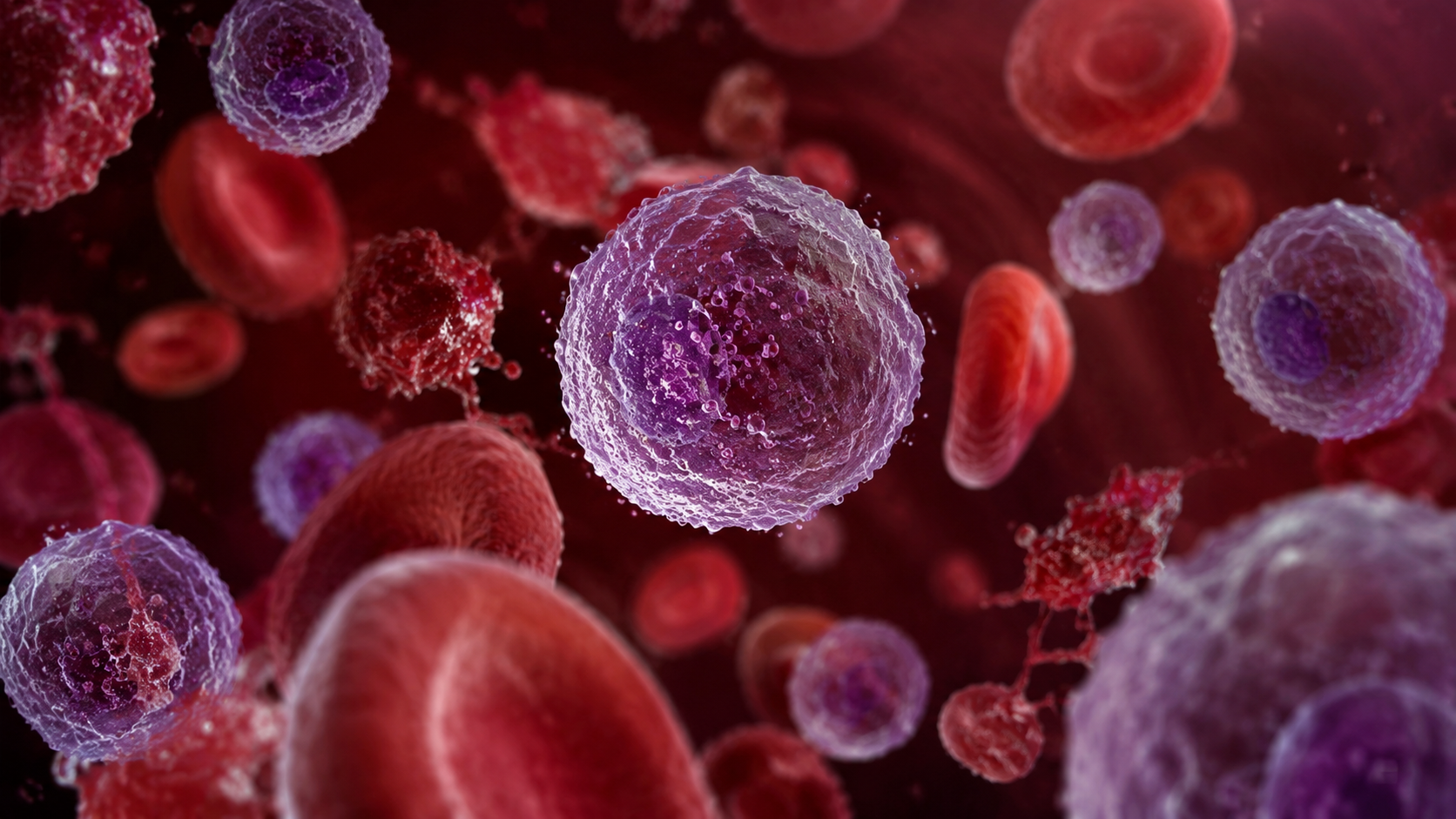 Menstrual Blood Contains More Than 1,000 Proteins: What This Discovery Could Mean for Fertility and Regenerative Medicine