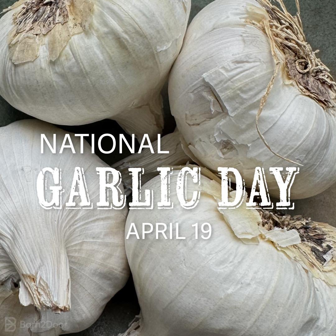 National Garlic Day! 
Garlic is full of health benefits and stores well through the winter months. This humble bulb is in the onion family, has antioxidants, antiviral and immune-boosting properties.
Stay tuned for a delicious recipe dropping today!